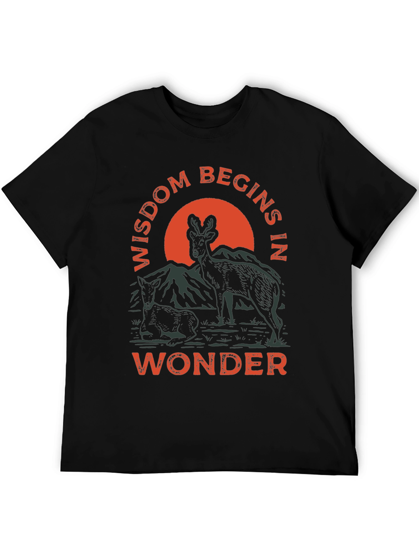 Wisdom Begins in Wonder Graphic Tee