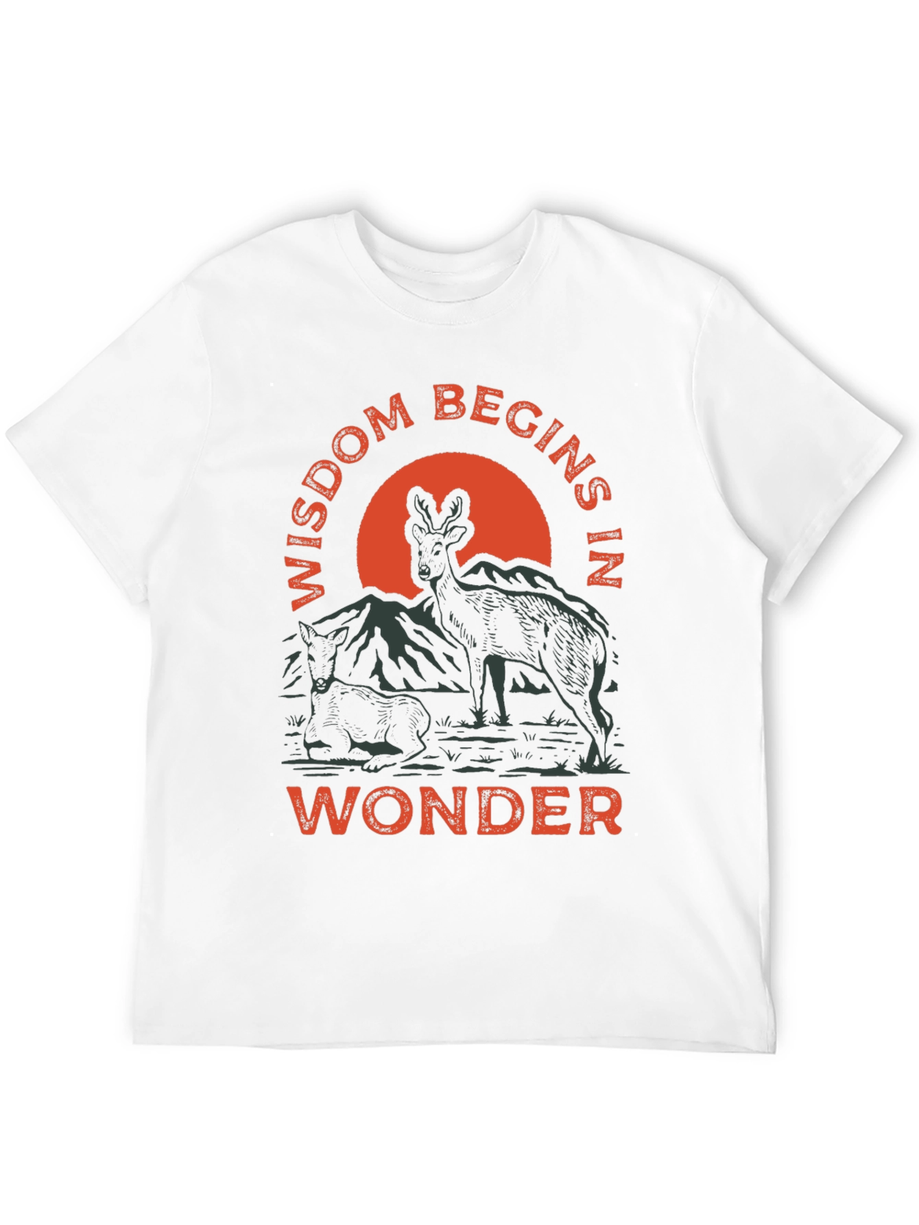 Wisdom Begins in Wonder Graphic Tee