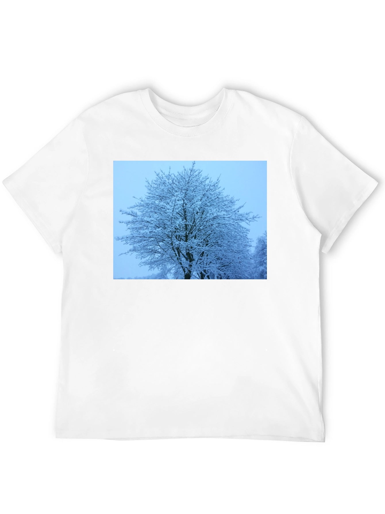 Winter Tree Graphic Tee - Soft Black Cotton