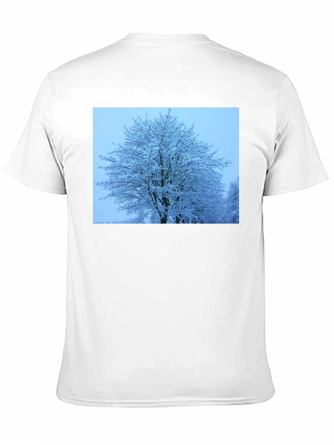 Winter Tree Graphic Tee - Soft Black Cotton