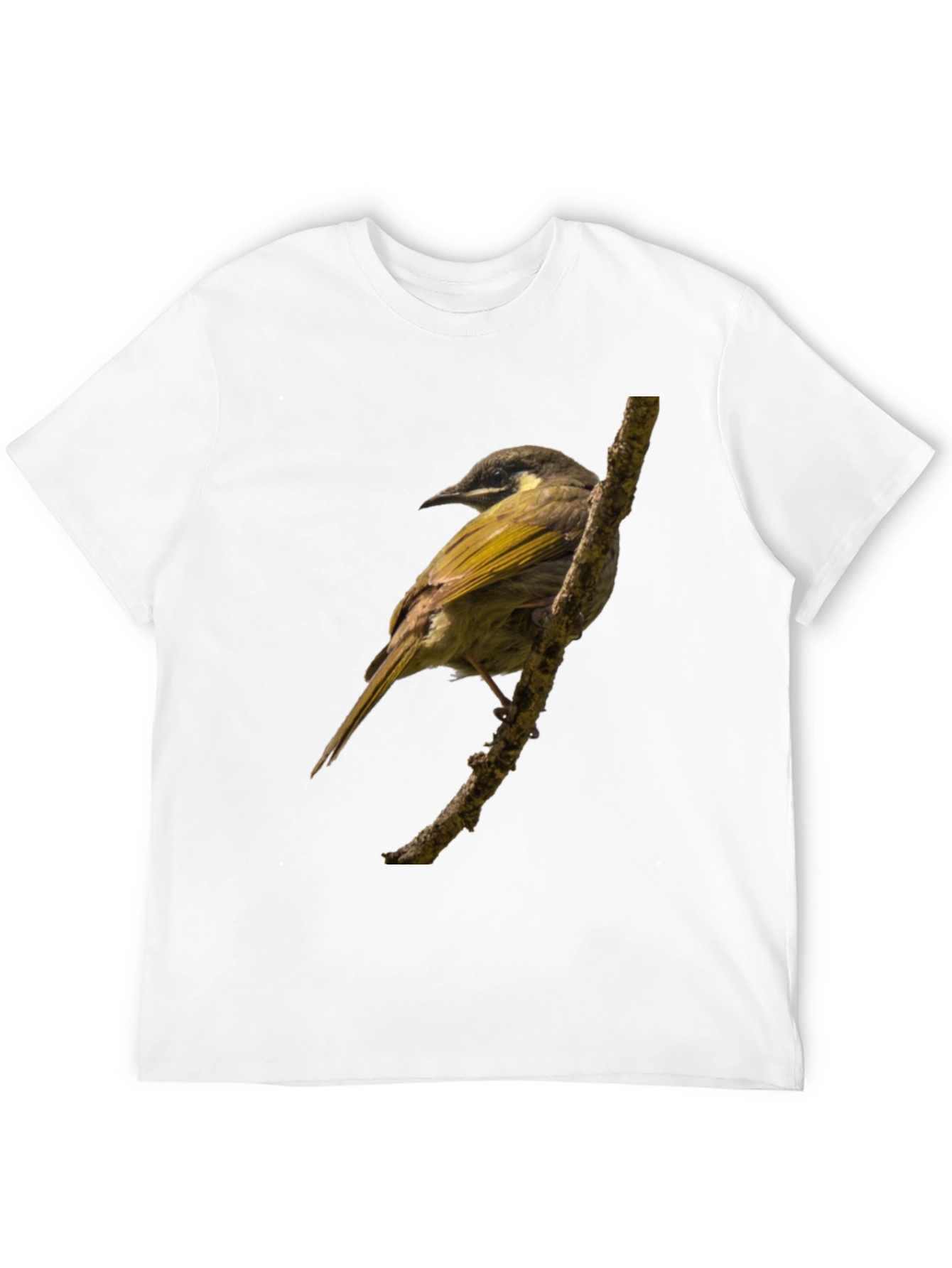 Bird on Branch Graphic T-Shirt