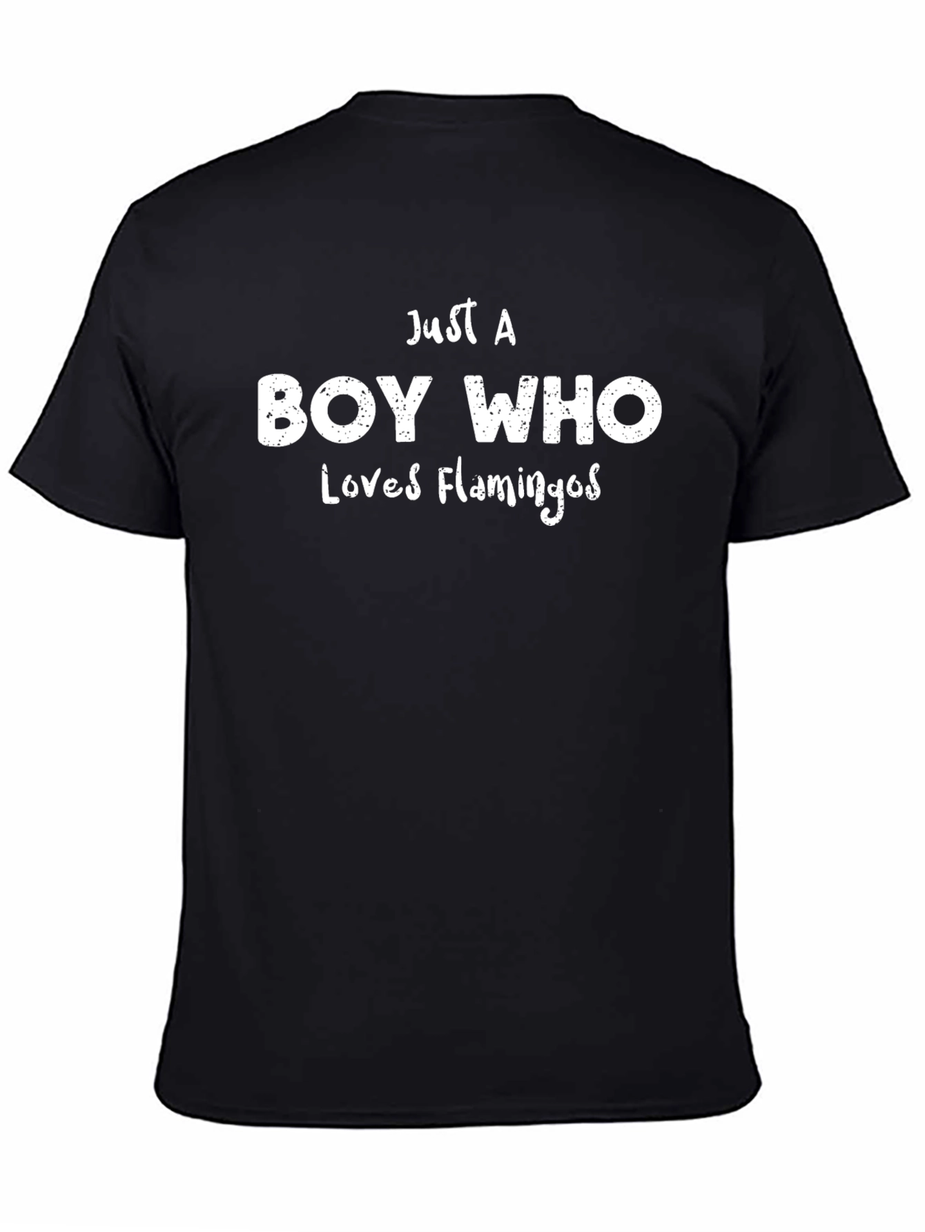 Boy Who Loves Flamingos Black T-Shirt
