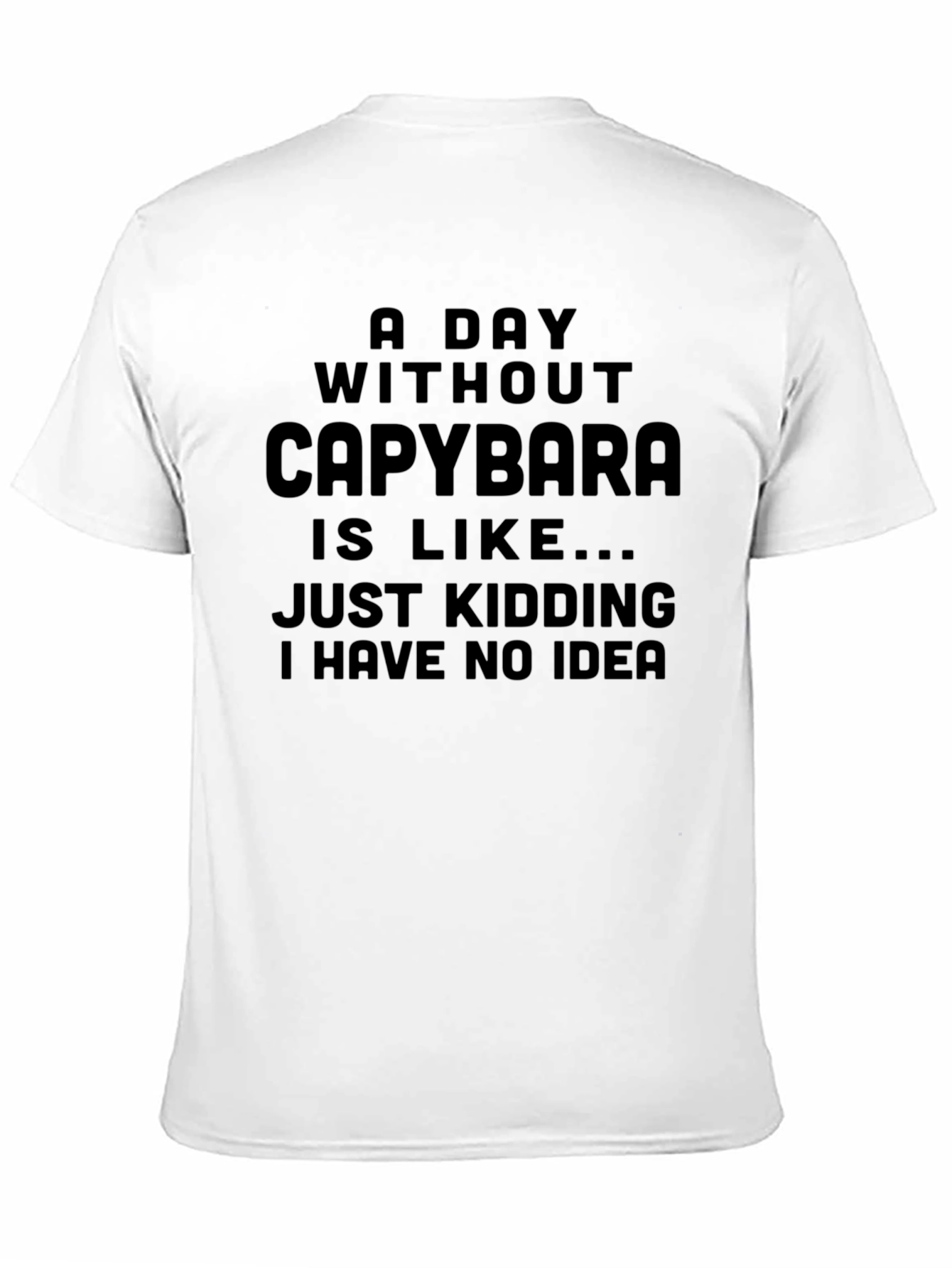 Funny Capybara T-Shirt - No Idea