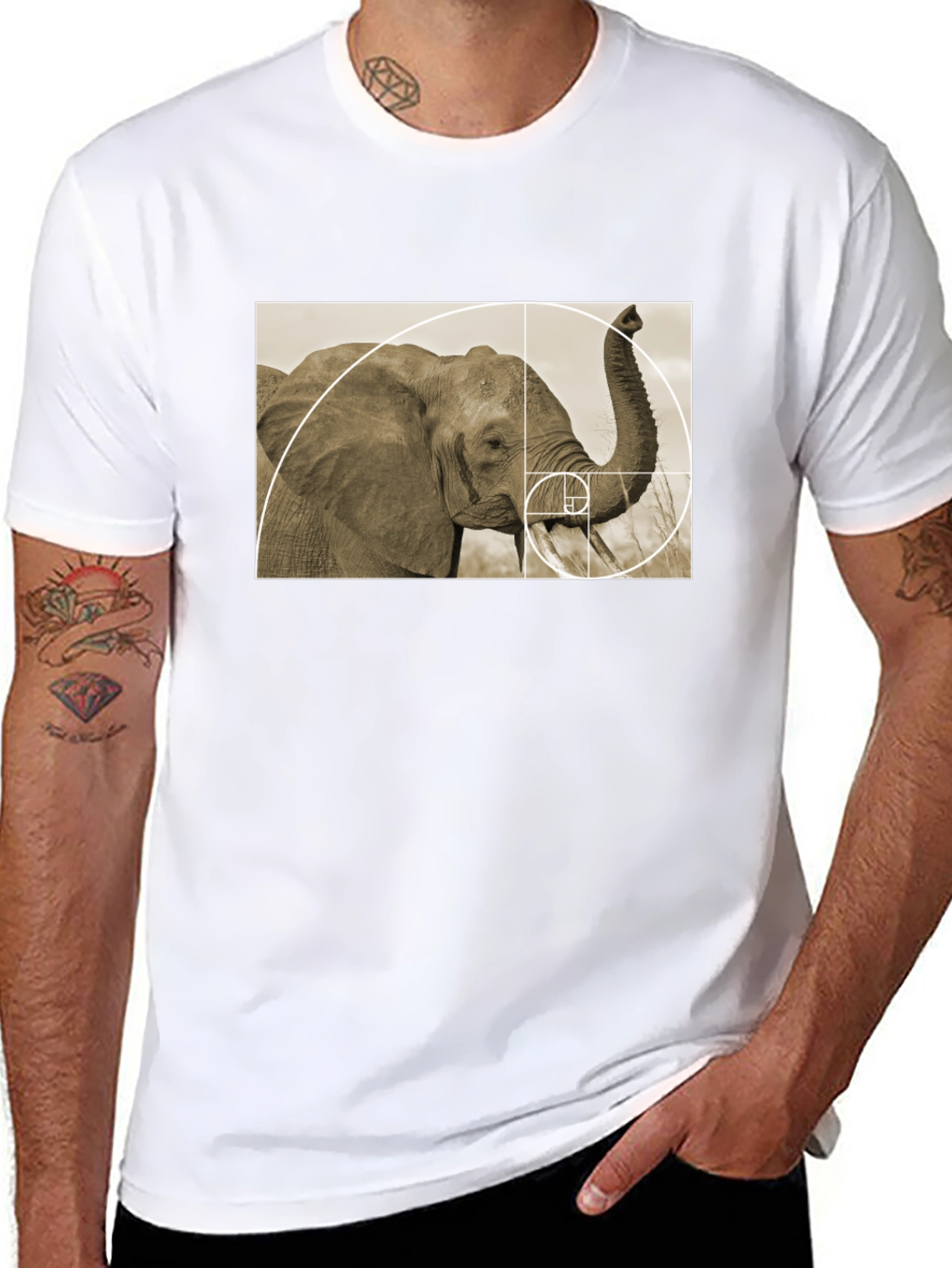 Golden Ratio Elephant Black T-Shirt