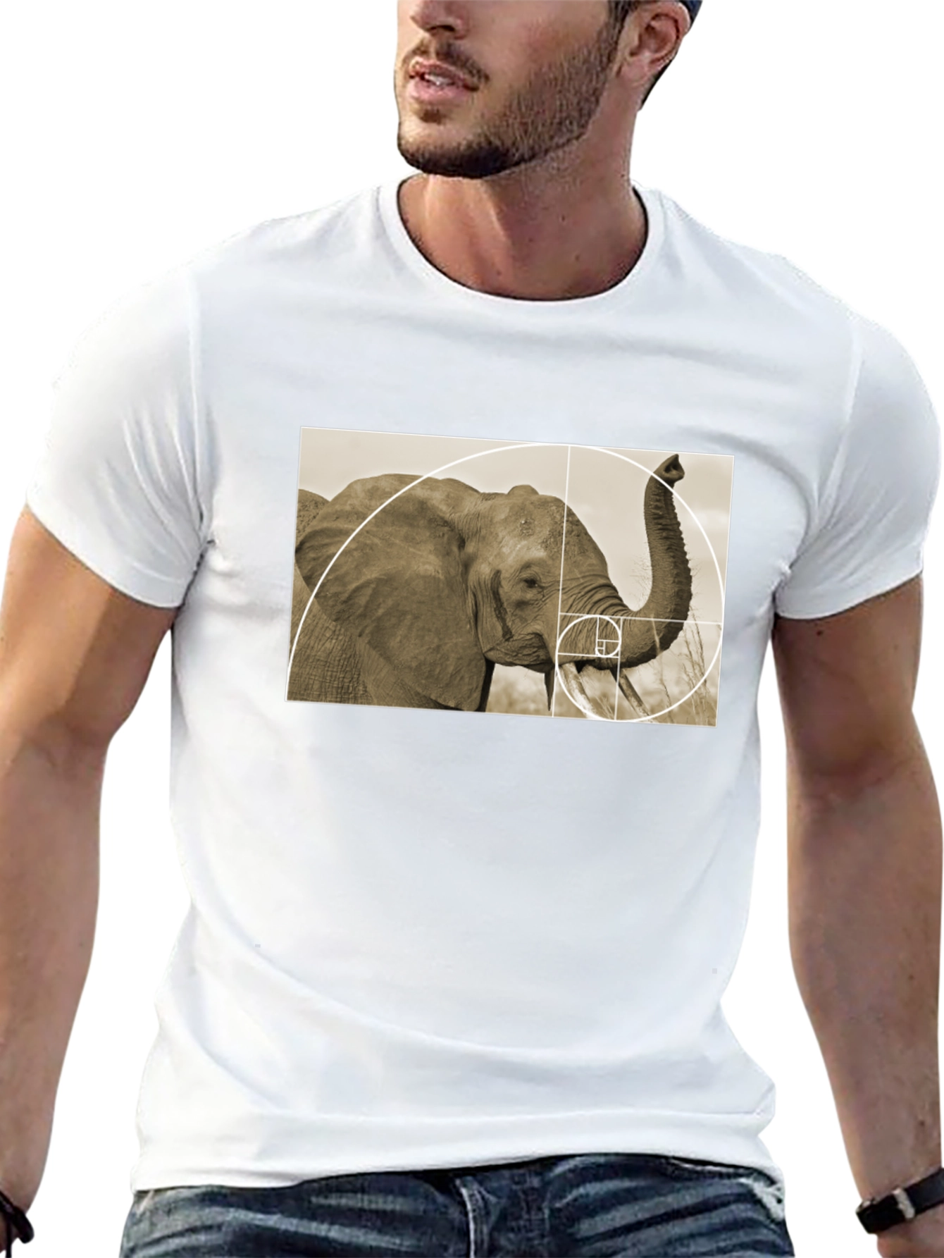Golden Ratio Elephant Black T-Shirt