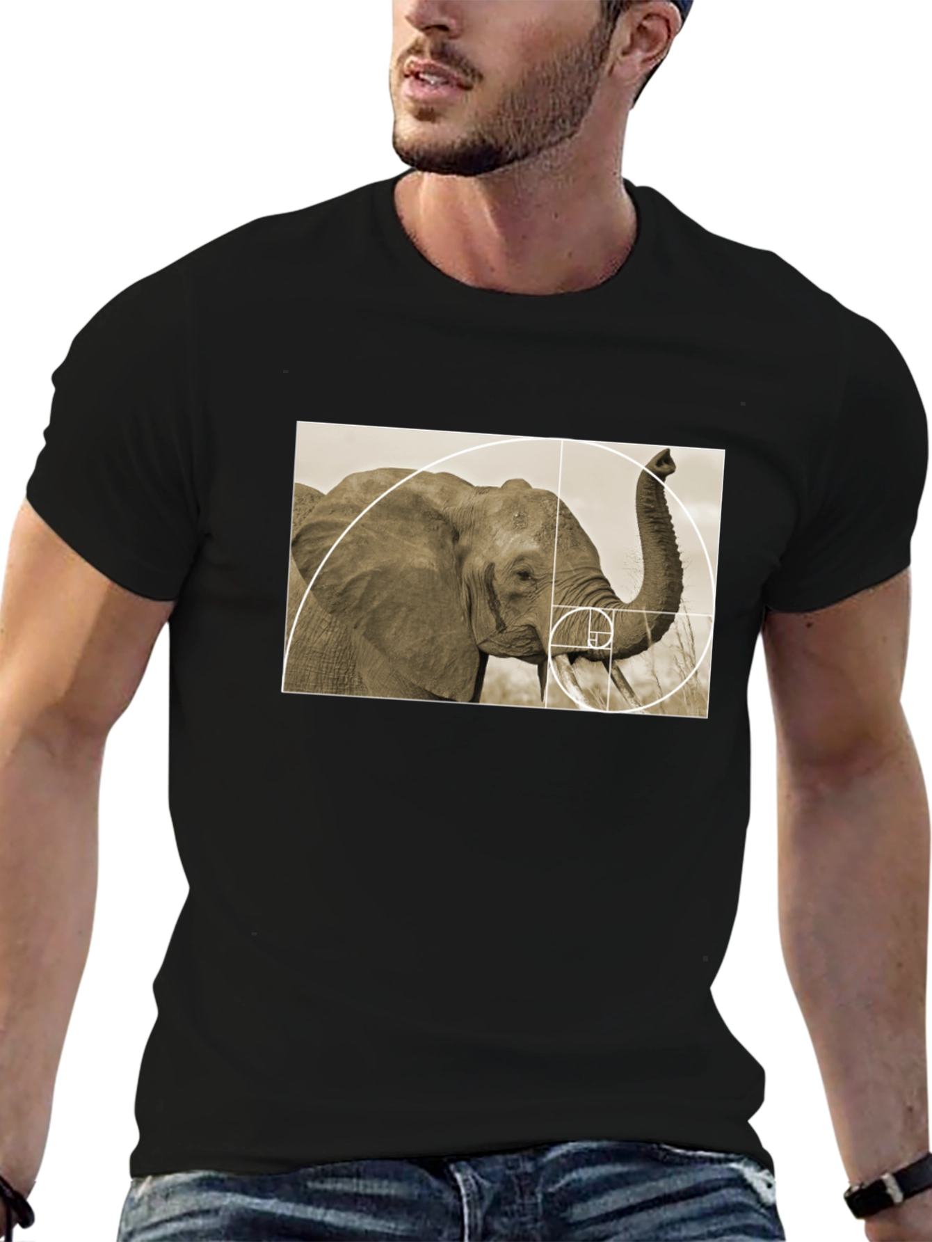 Golden Ratio Elephant Black T-Shirt