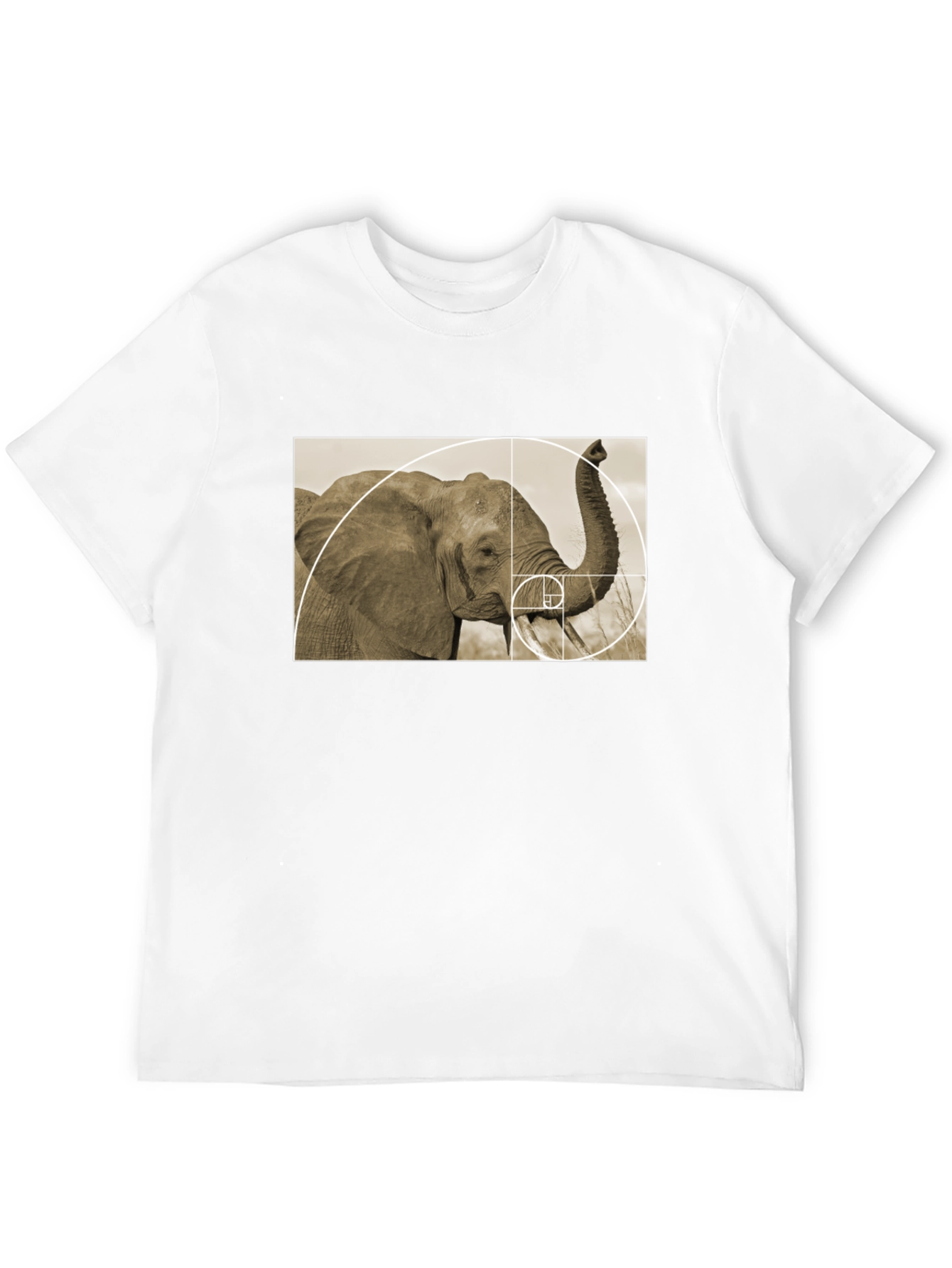 Golden Ratio Elephant Black T-Shirt
