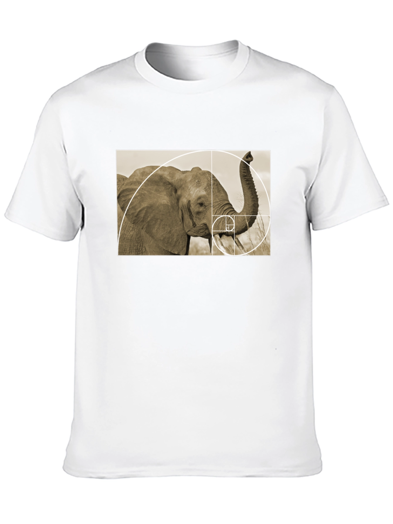 Golden Ratio Elephant Black T-Shirt