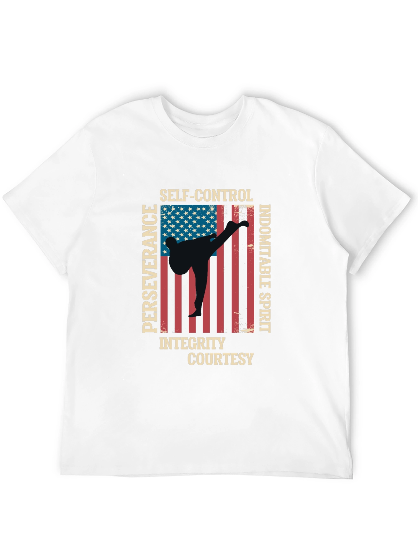 Martial Arts USA Flag T-Shirt
