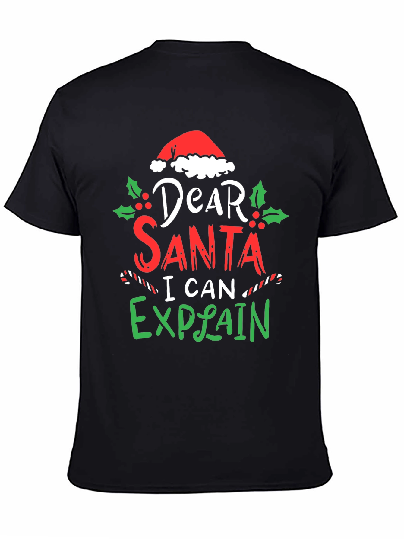 Dear Santa I Can Explain Christmas T-Shirt