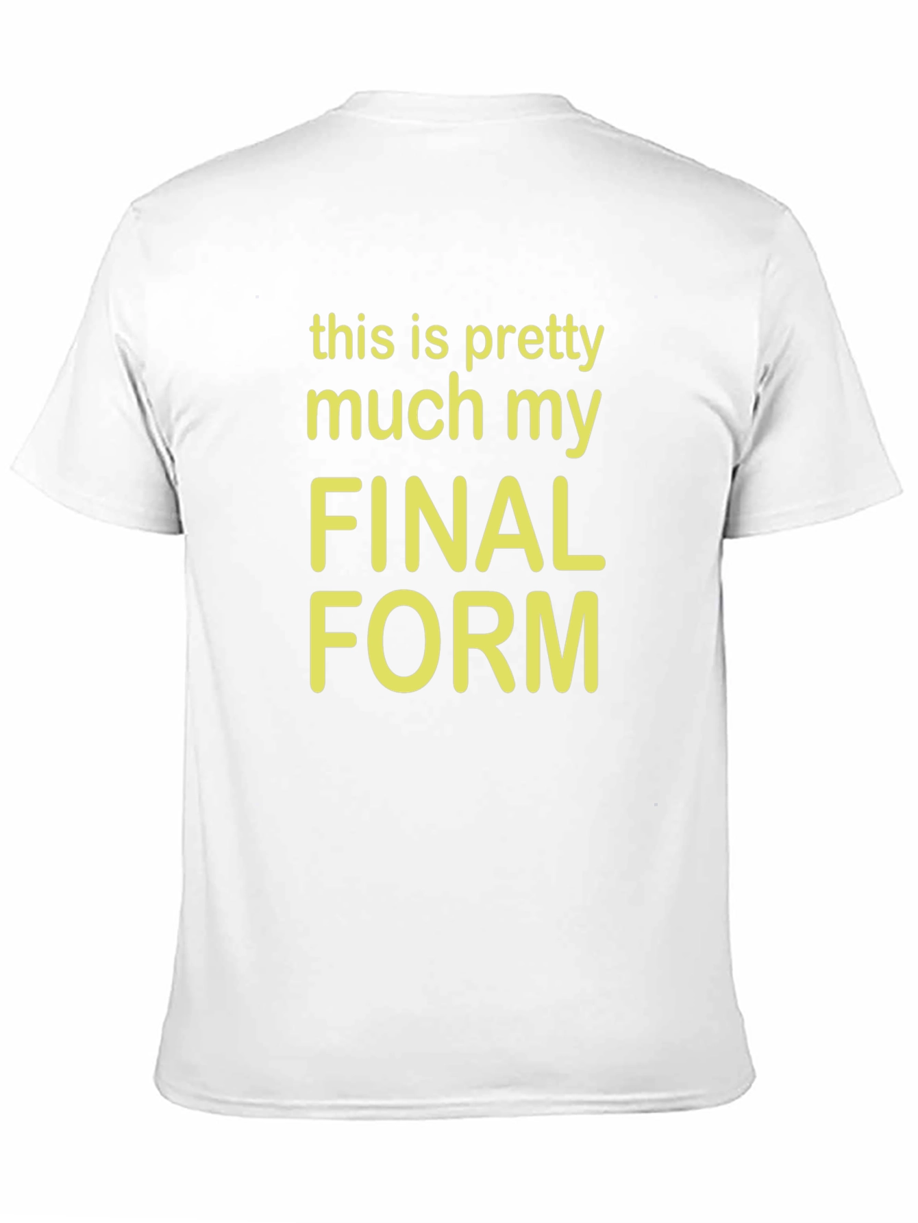 Final Form Graphic Tee - Funny Novelty T-Shirt