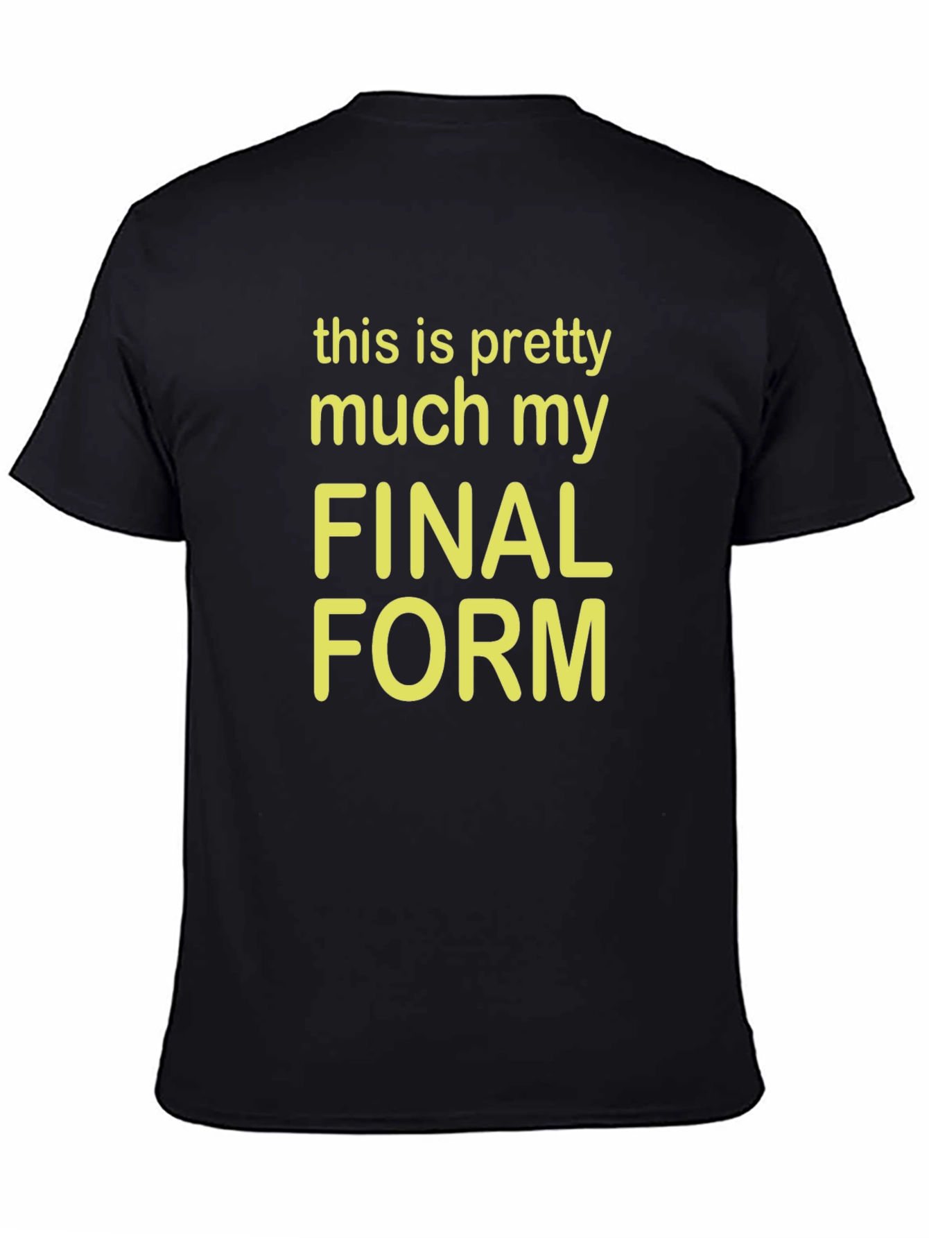 Final Form Graphic Tee - Funny Novelty T-Shirt