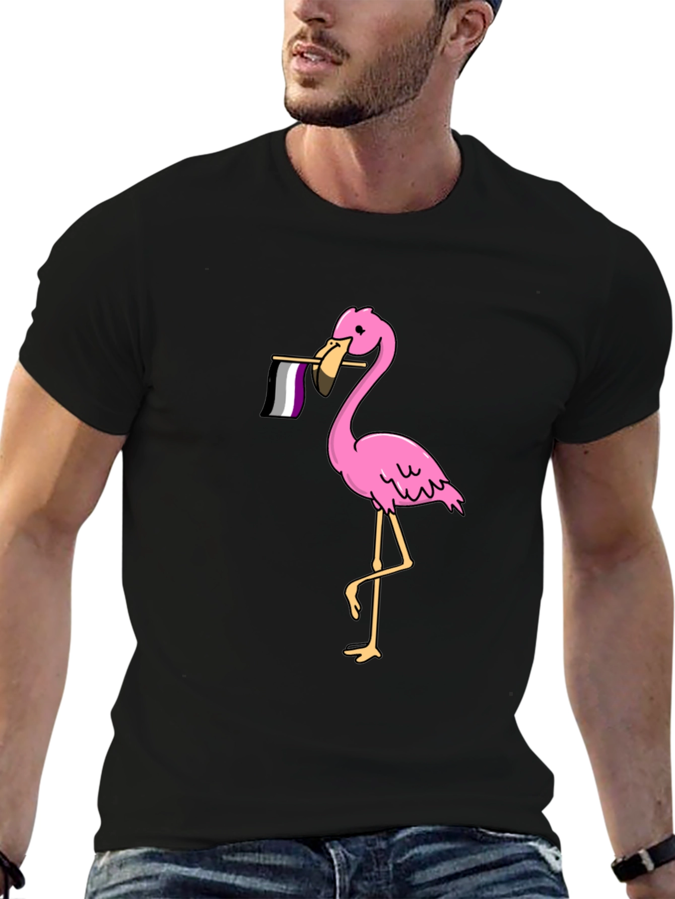 Flamingo Asexual Pride T-Shirt - Black