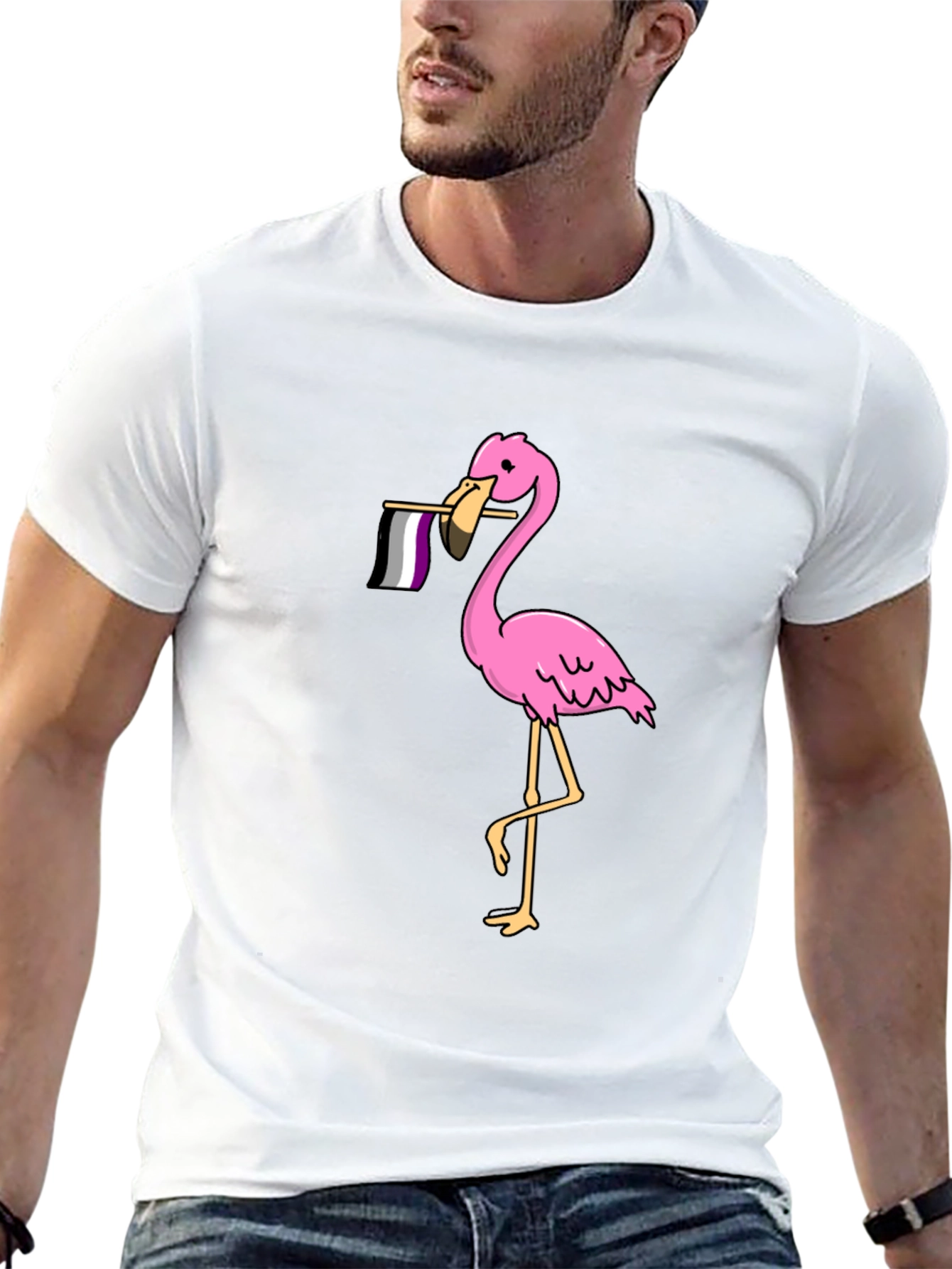 Flamingo Asexual Pride T-Shirt - Black