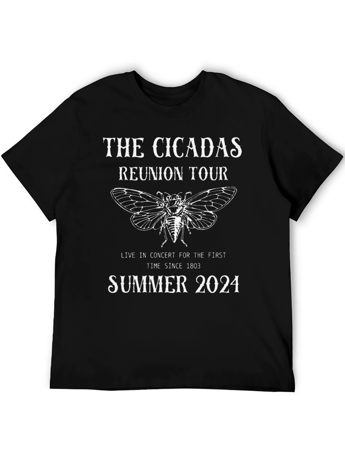 The Cicadas Reunion Tour 2024 Black T-Shirt
