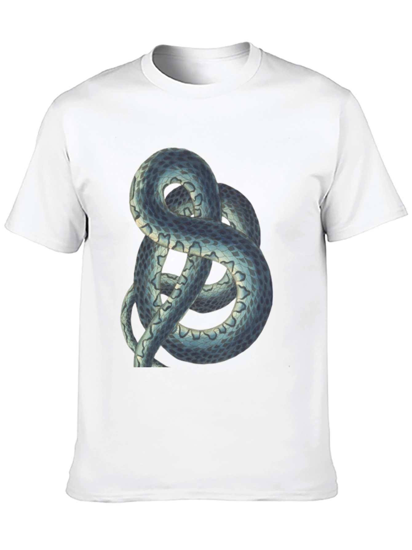 Snake Print Tee - Coiled Serpent Graphic T-Shirt