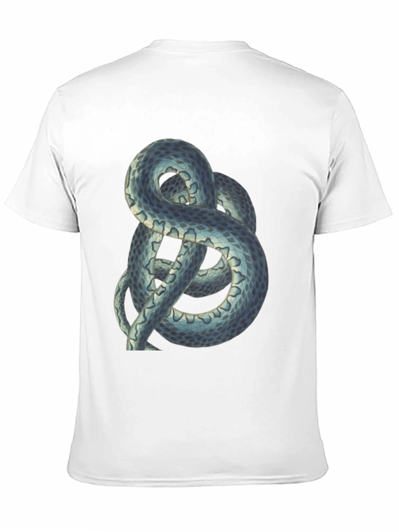 Snake Print Tee - Coiled Serpent Graphic T-Shirt