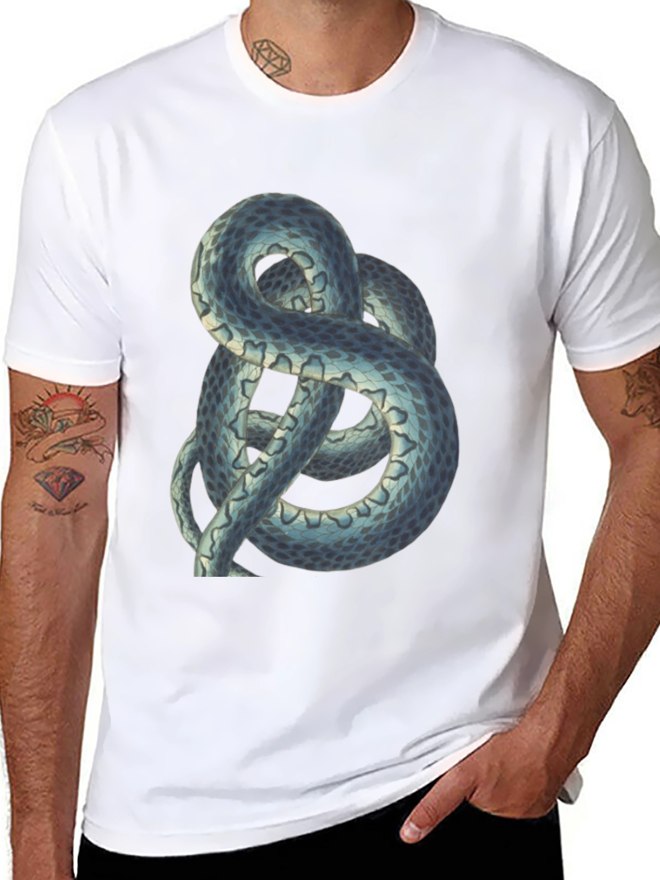Snake Print Tee - Coiled Serpent Graphic T-Shirt