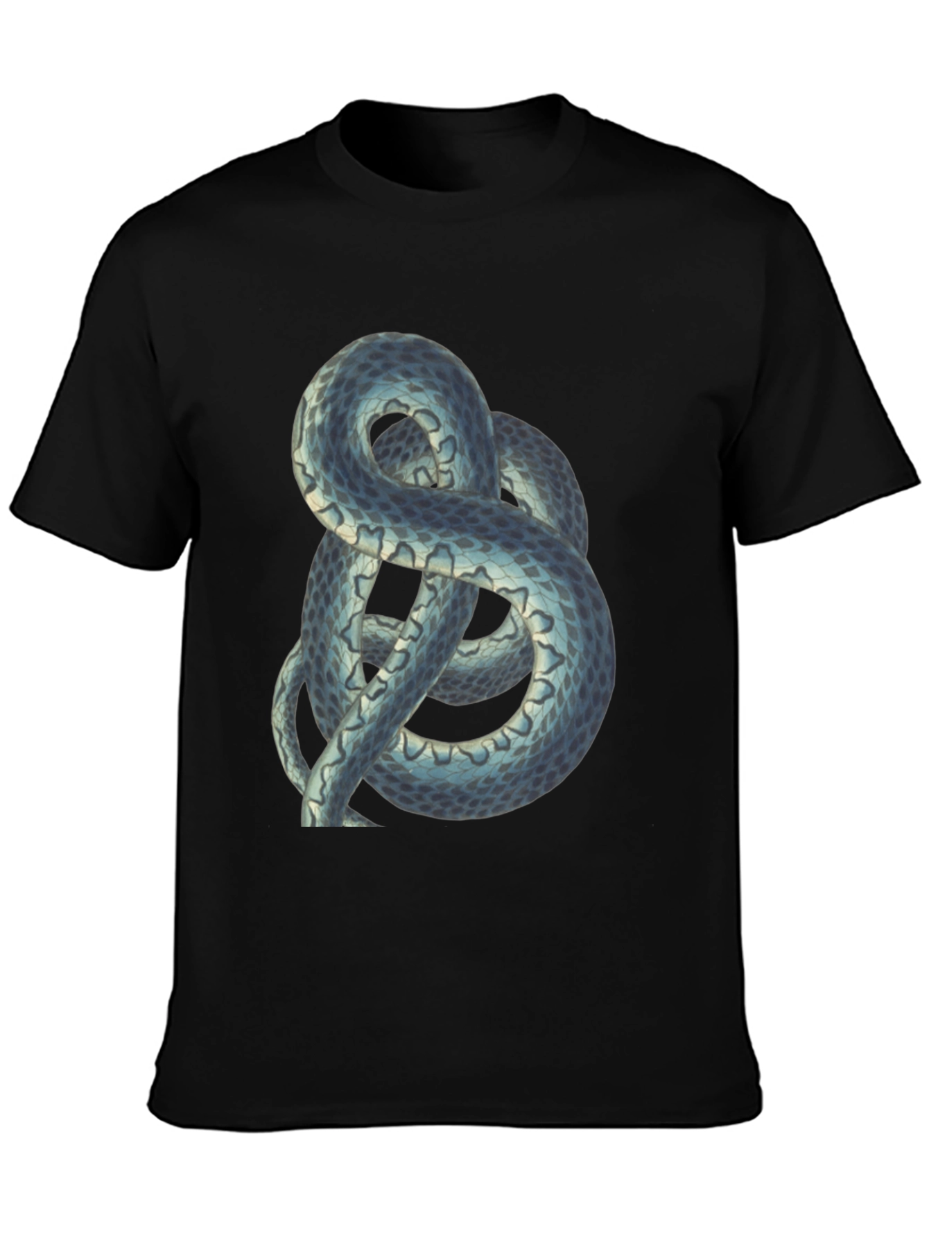 Snake Print Tee - Coiled Serpent Graphic T-Shirt