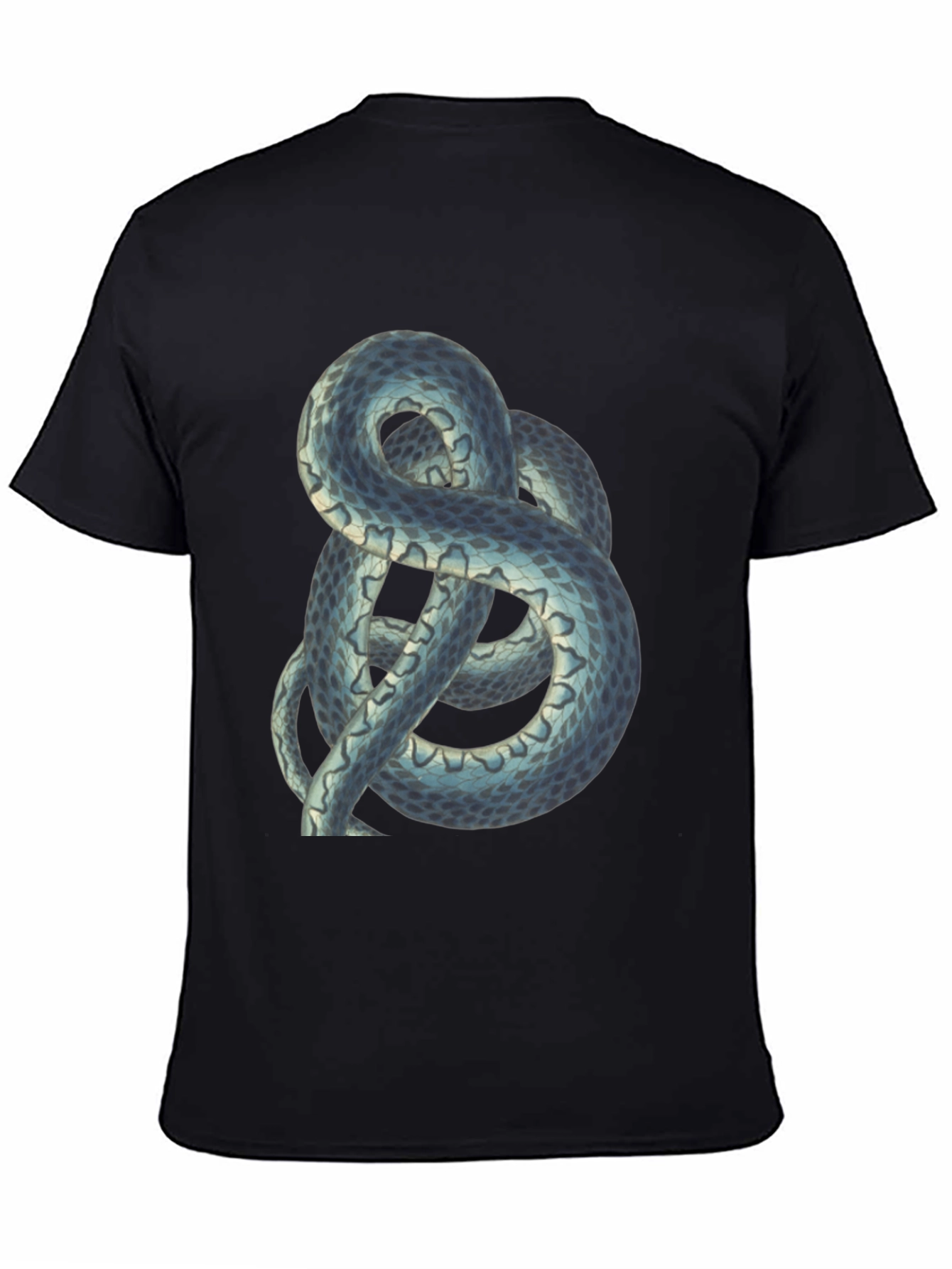 Snake Print Tee - Coiled Serpent Graphic T-Shirt