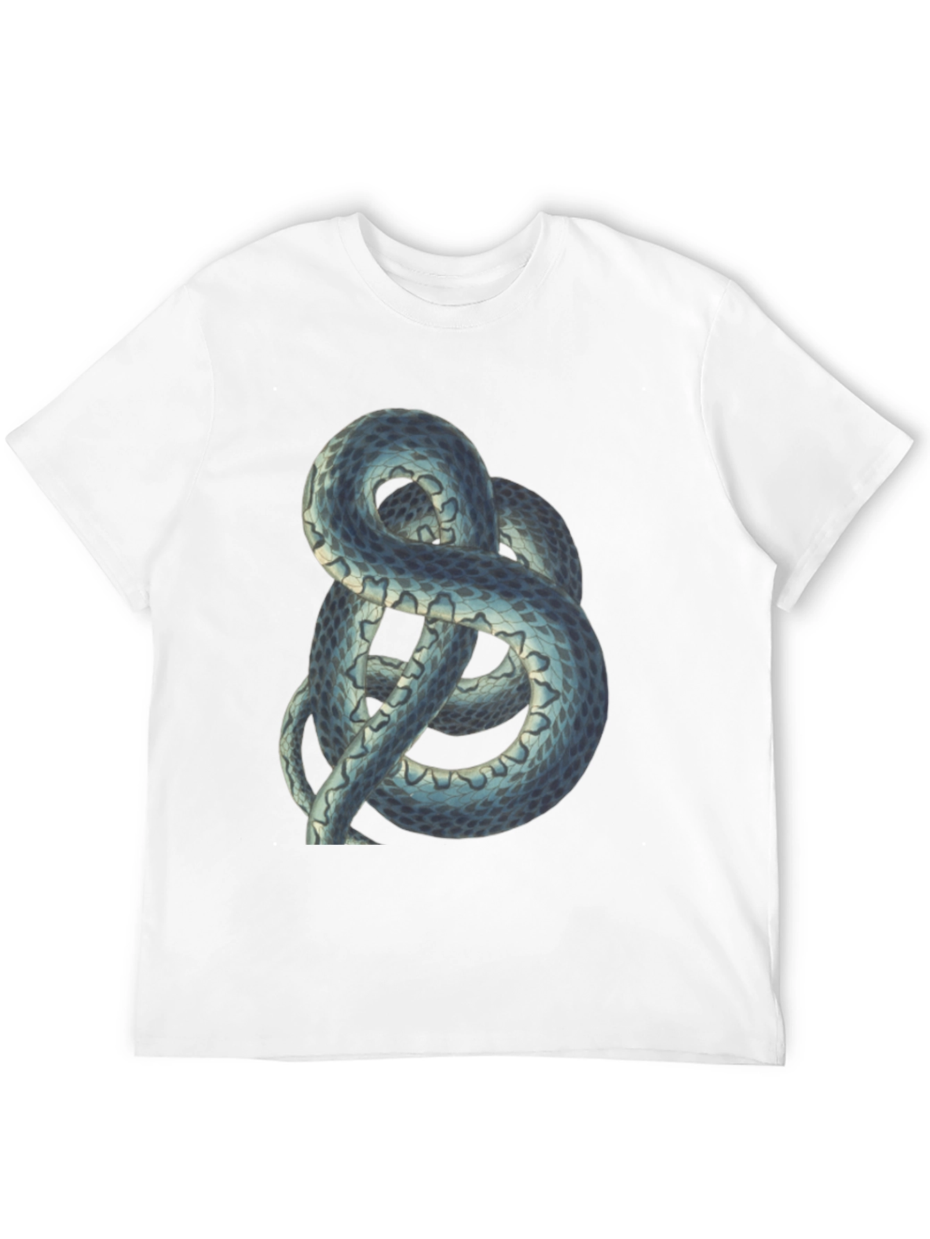 Snake Print Tee - Coiled Serpent Graphic T-Shirt