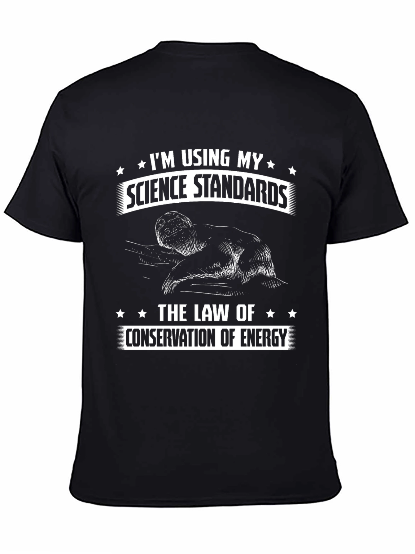 Funny Science Standards Law of Energy T-Shirt