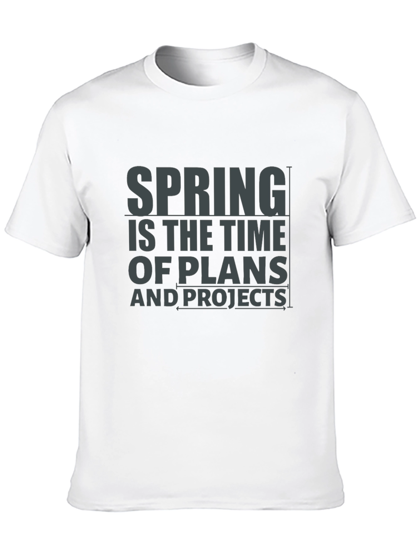 Spring Plans & Projects Graphic T-Shirt