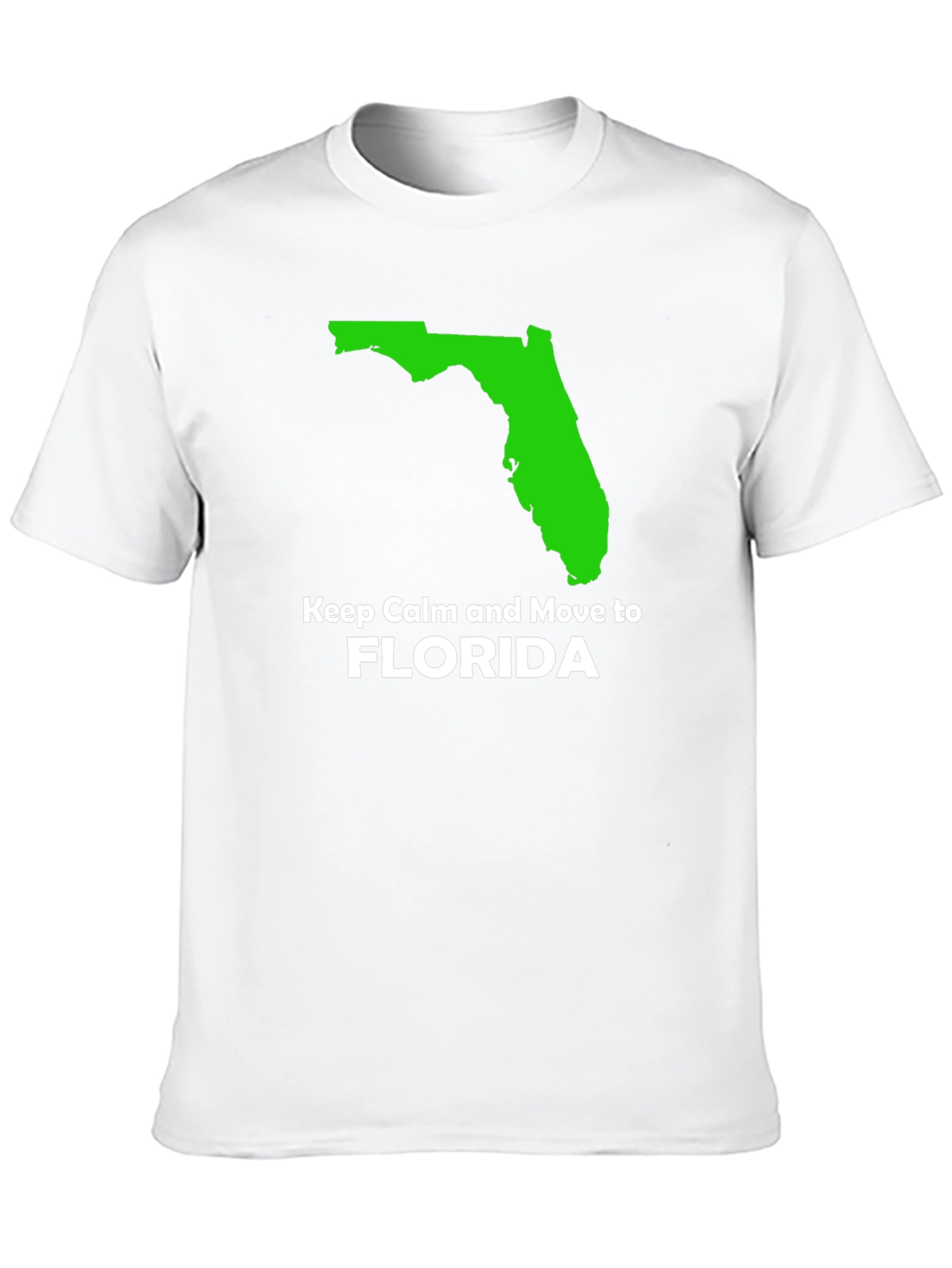 Florida State Pride Graphic T-Shirt