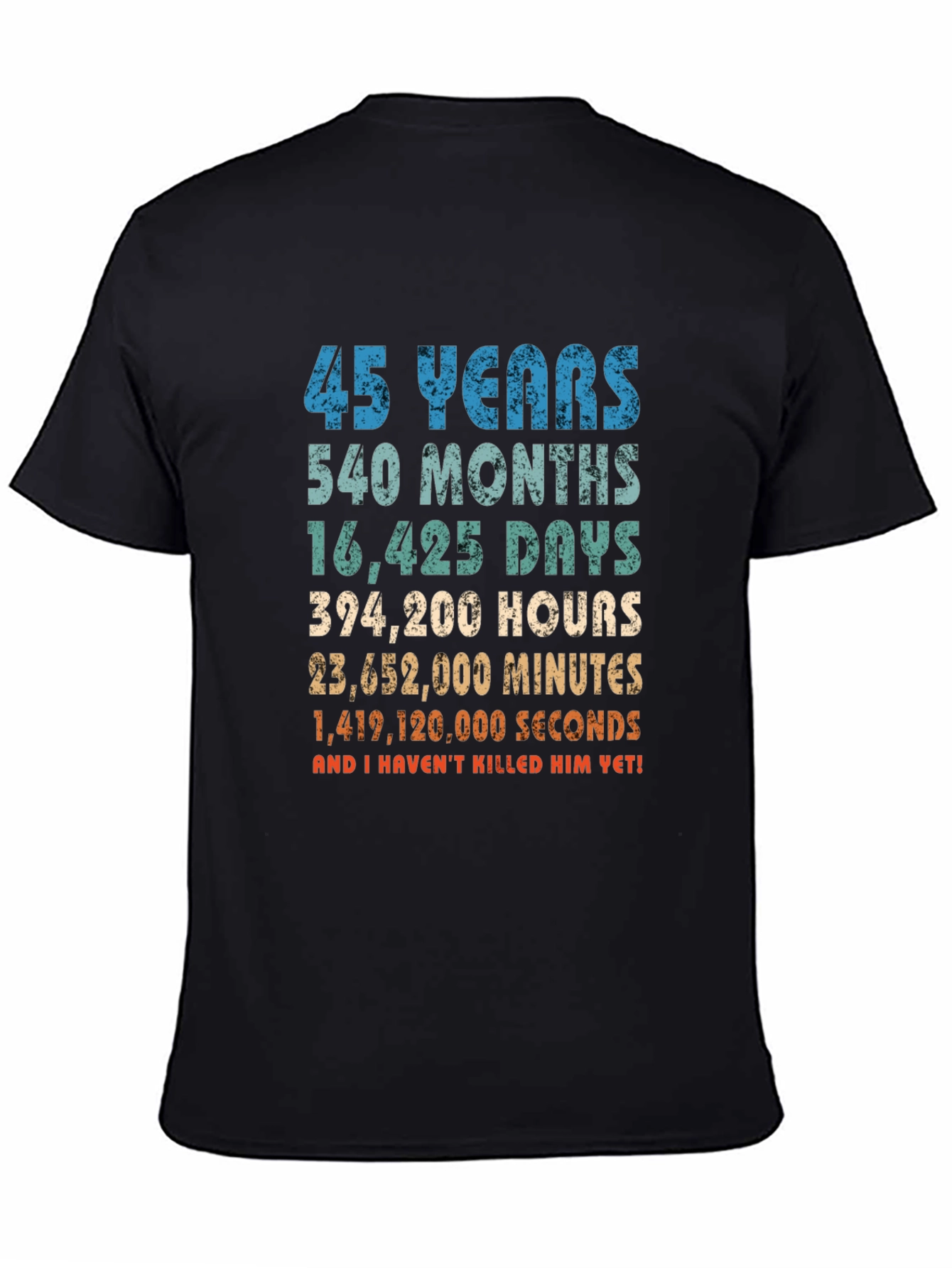 45 Years Anniversary T-Shirt Funny Birthday Gift