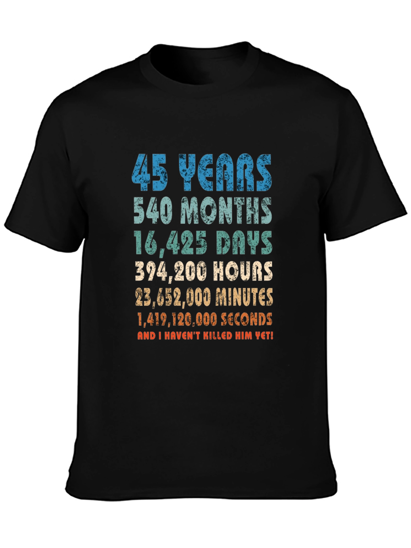 45 Years Anniversary T-Shirt Funny Birthday Gift