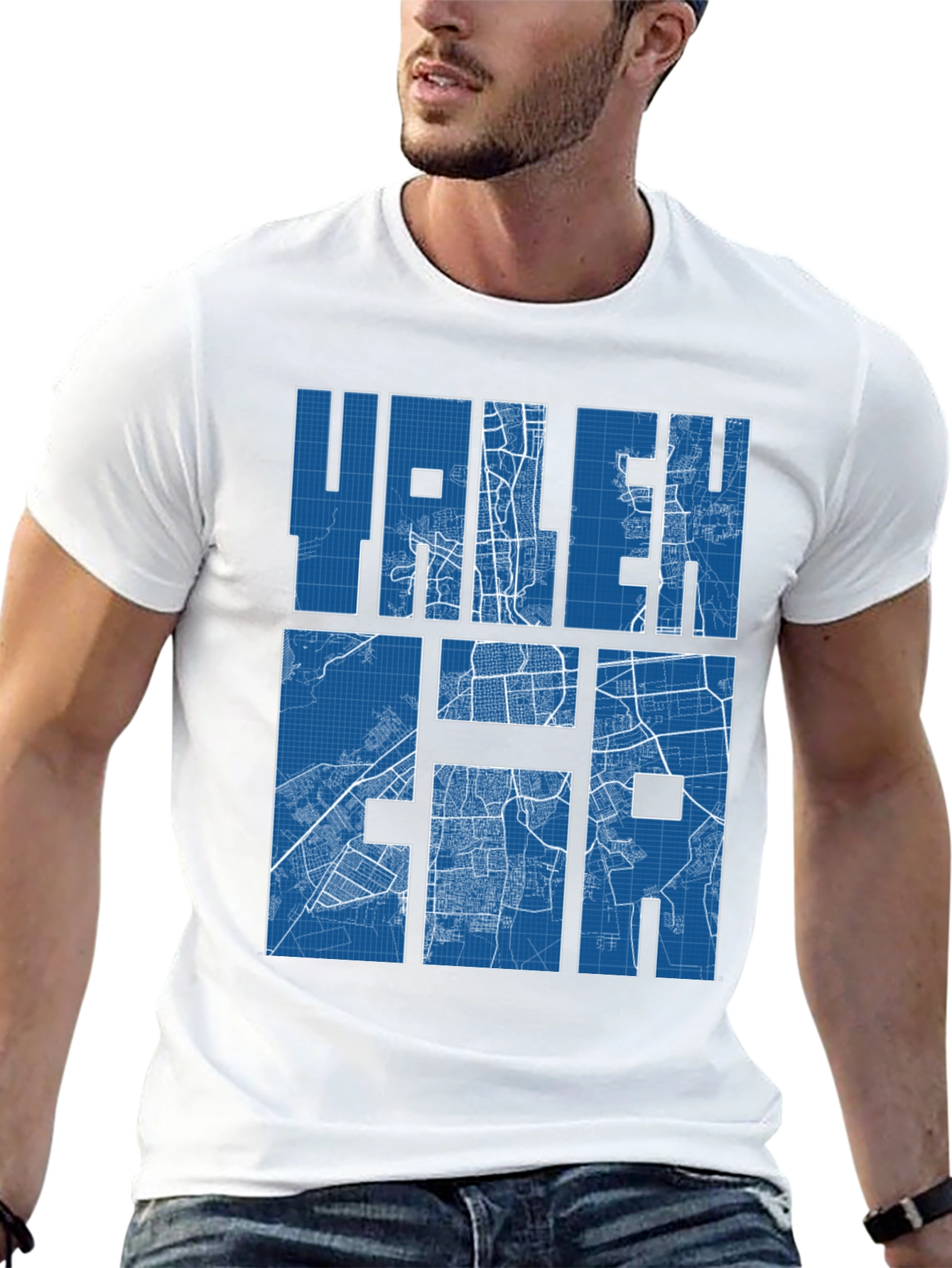 RALEIGH City Map T-Shirt - Blueprint Style
