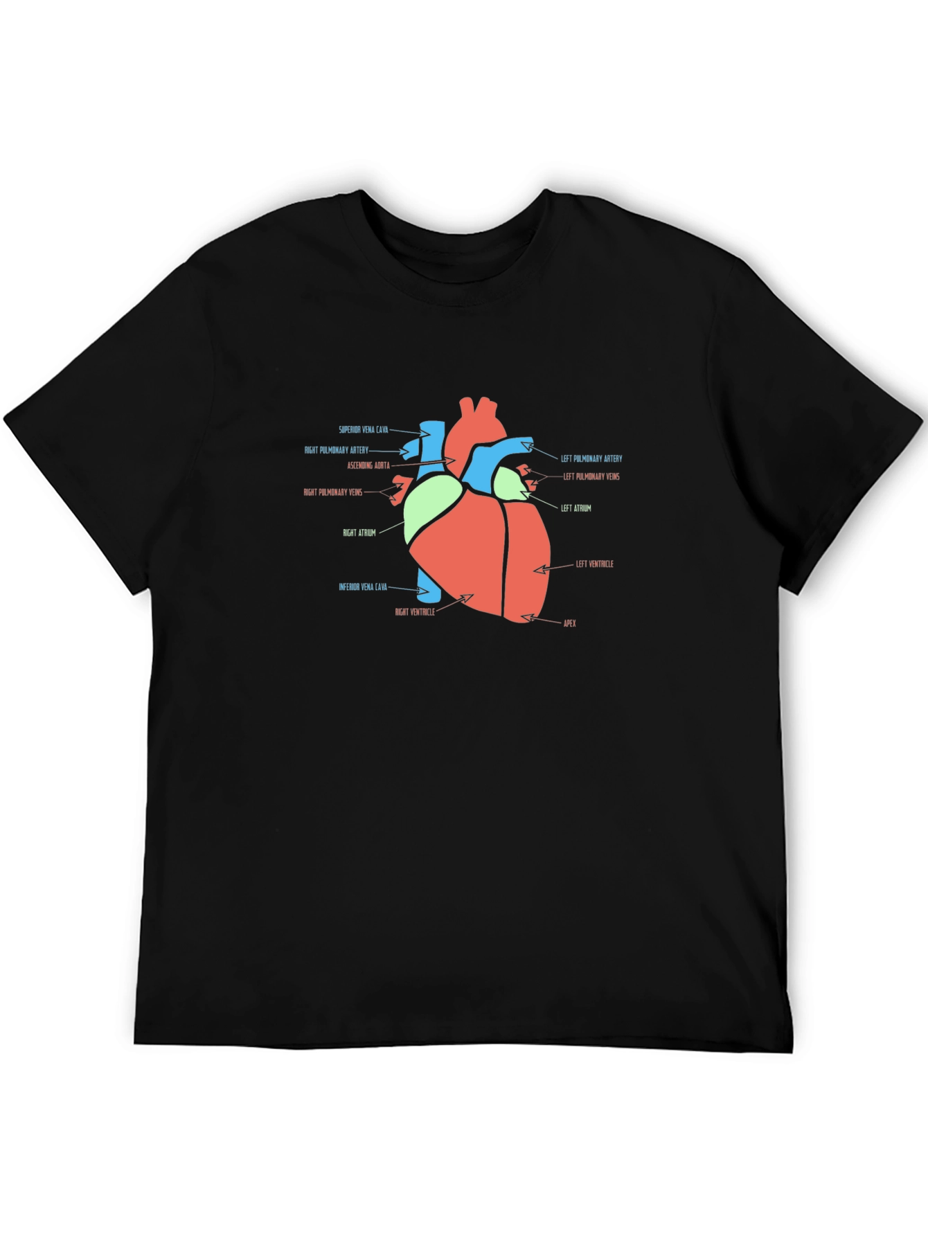 Anatomy Heart T-Shirt - Medical Science Tee