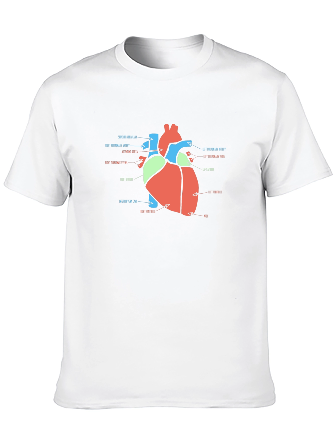 Anatomy Heart T-Shirt - Medical Science Tee