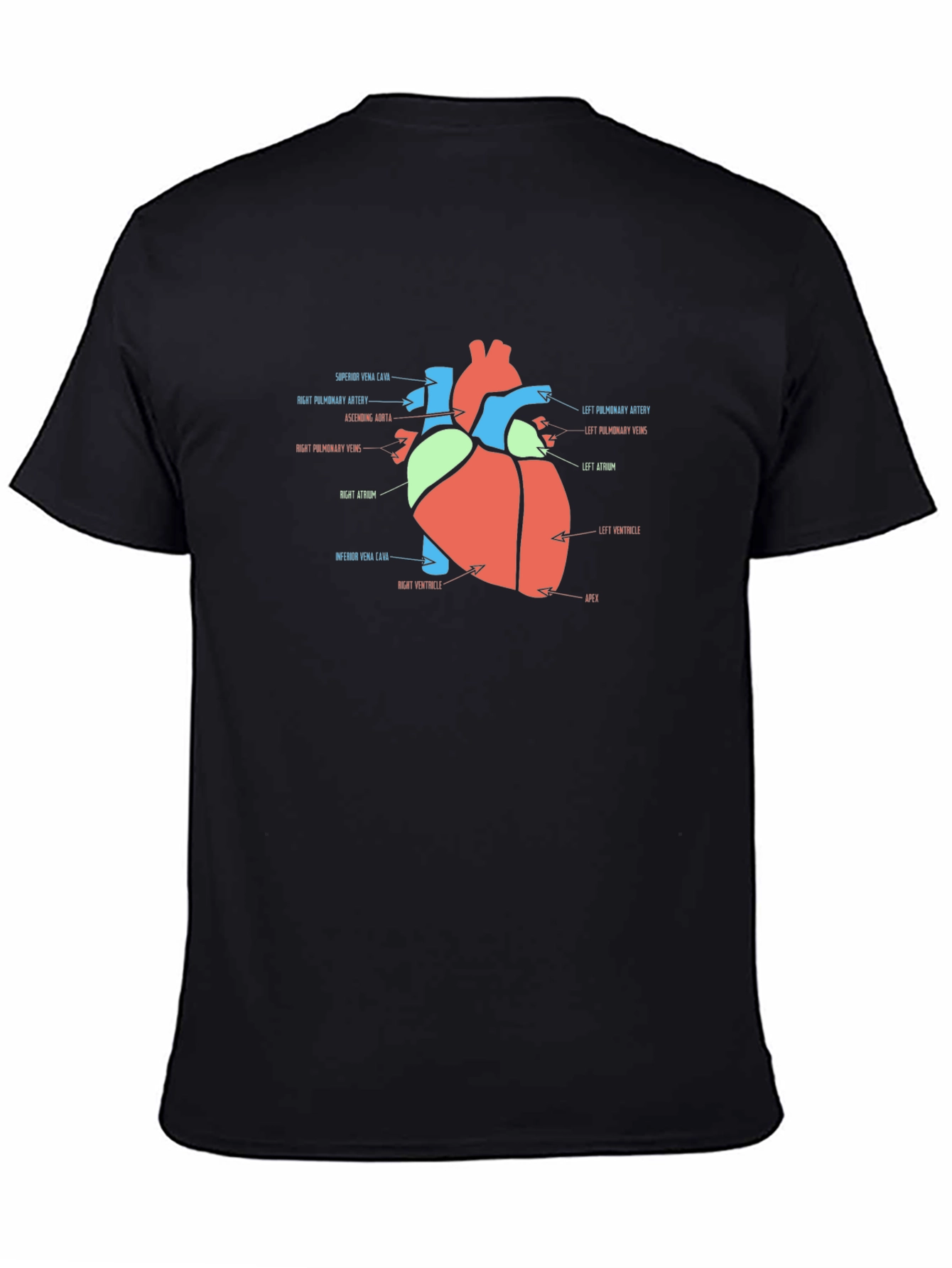 Anatomy Heart T-Shirt - Medical Science Tee