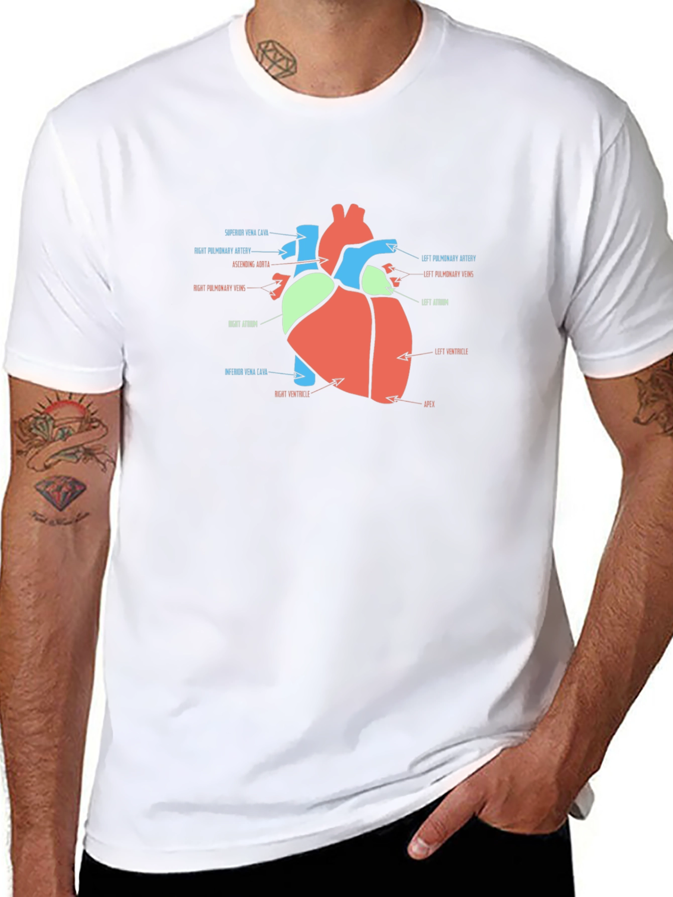 Anatomy Heart T-Shirt - Medical Science Tee