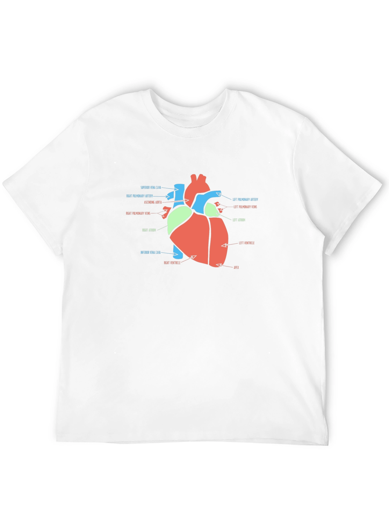 Anatomy Heart T-Shirt - Medical Science Tee