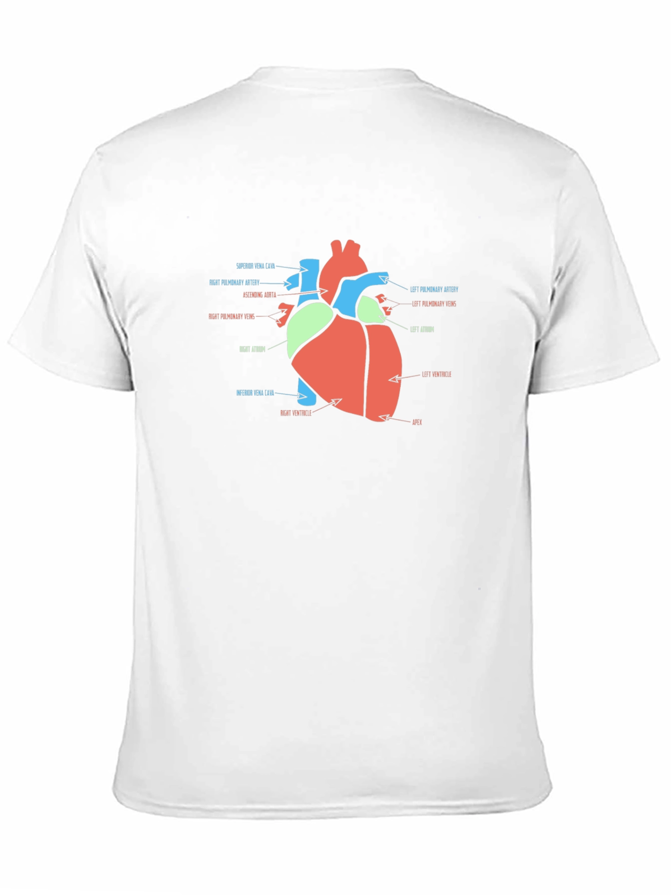 Anatomy Heart T-Shirt - Medical Science Tee