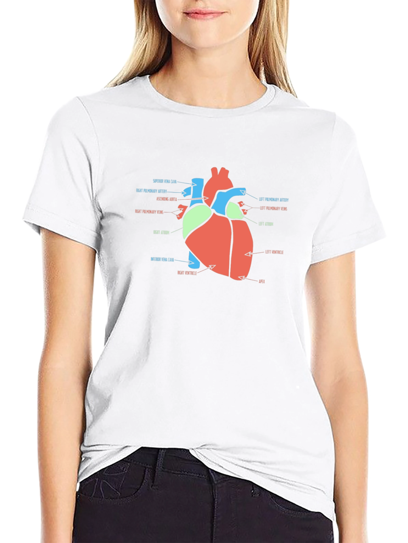 Anatomy Heart T-Shirt - Medical Science Tee