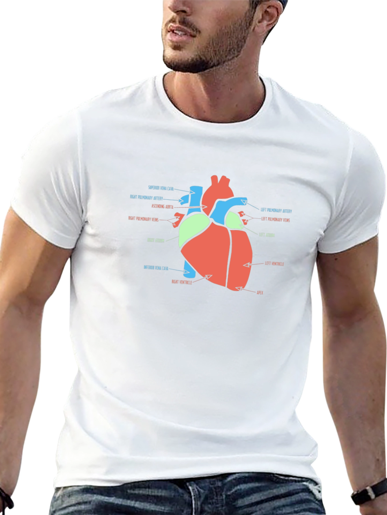 Anatomy Heart T-Shirt - Medical Science Tee