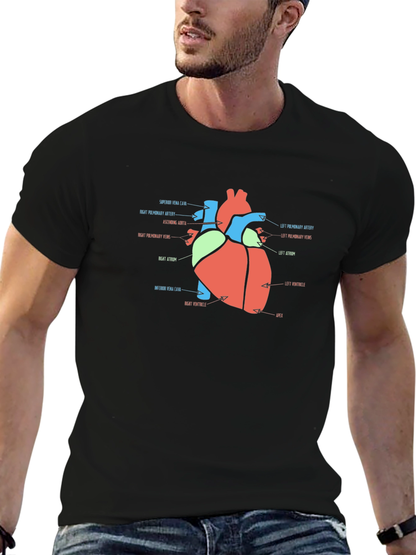 Anatomy Heart T-Shirt - Medical Science Tee
