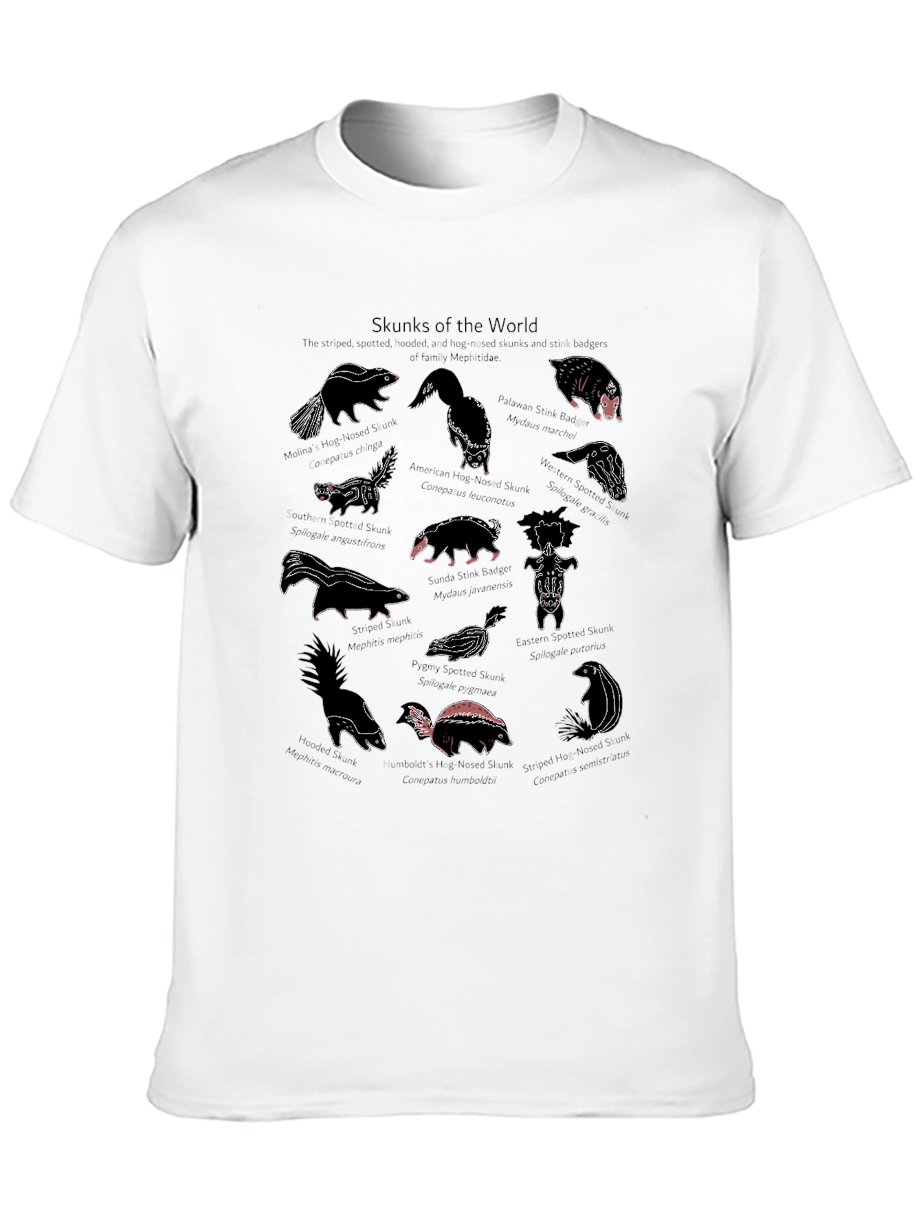 Skunks of the World Graphic T-Shirt