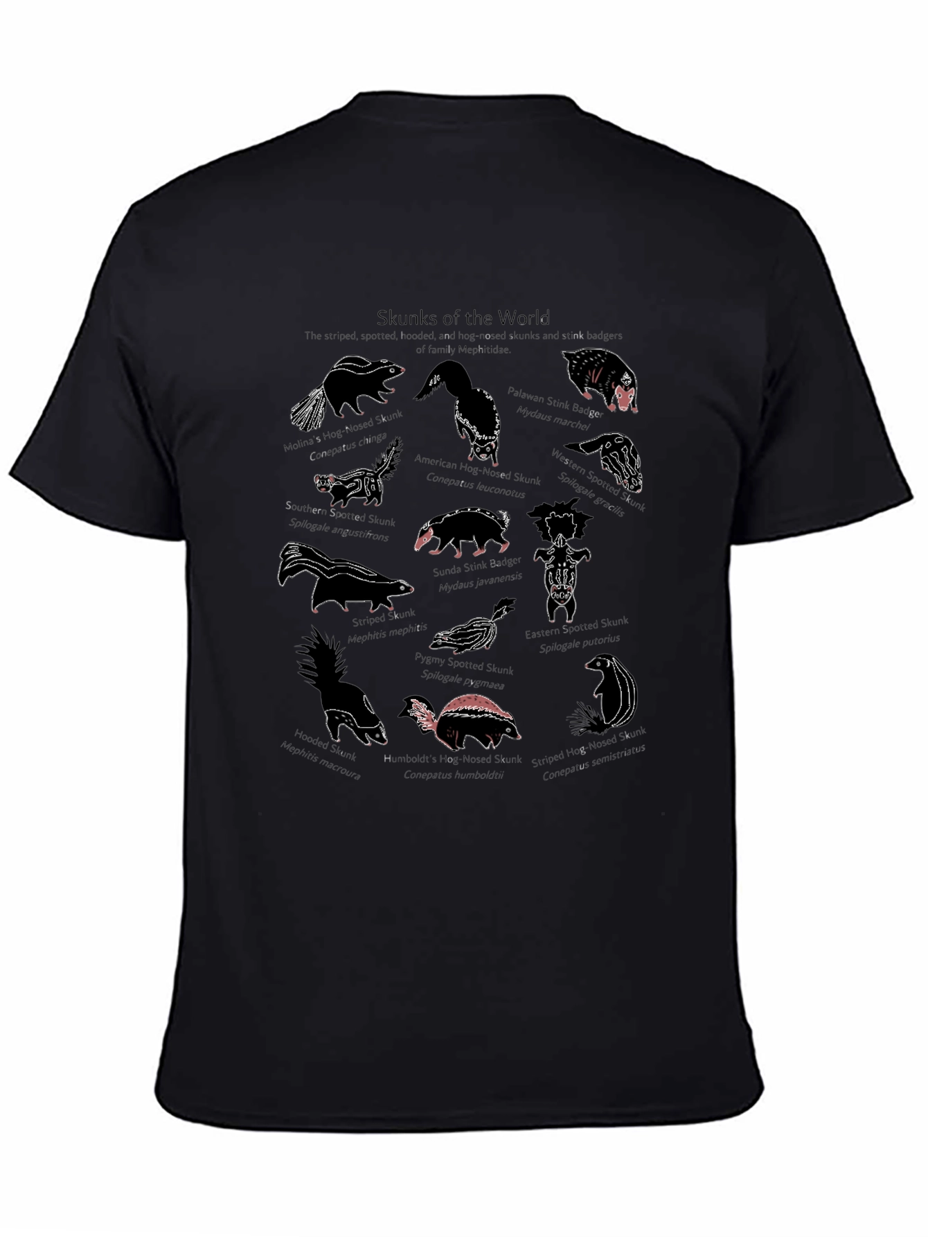 Skunks of the World Graphic T-Shirt