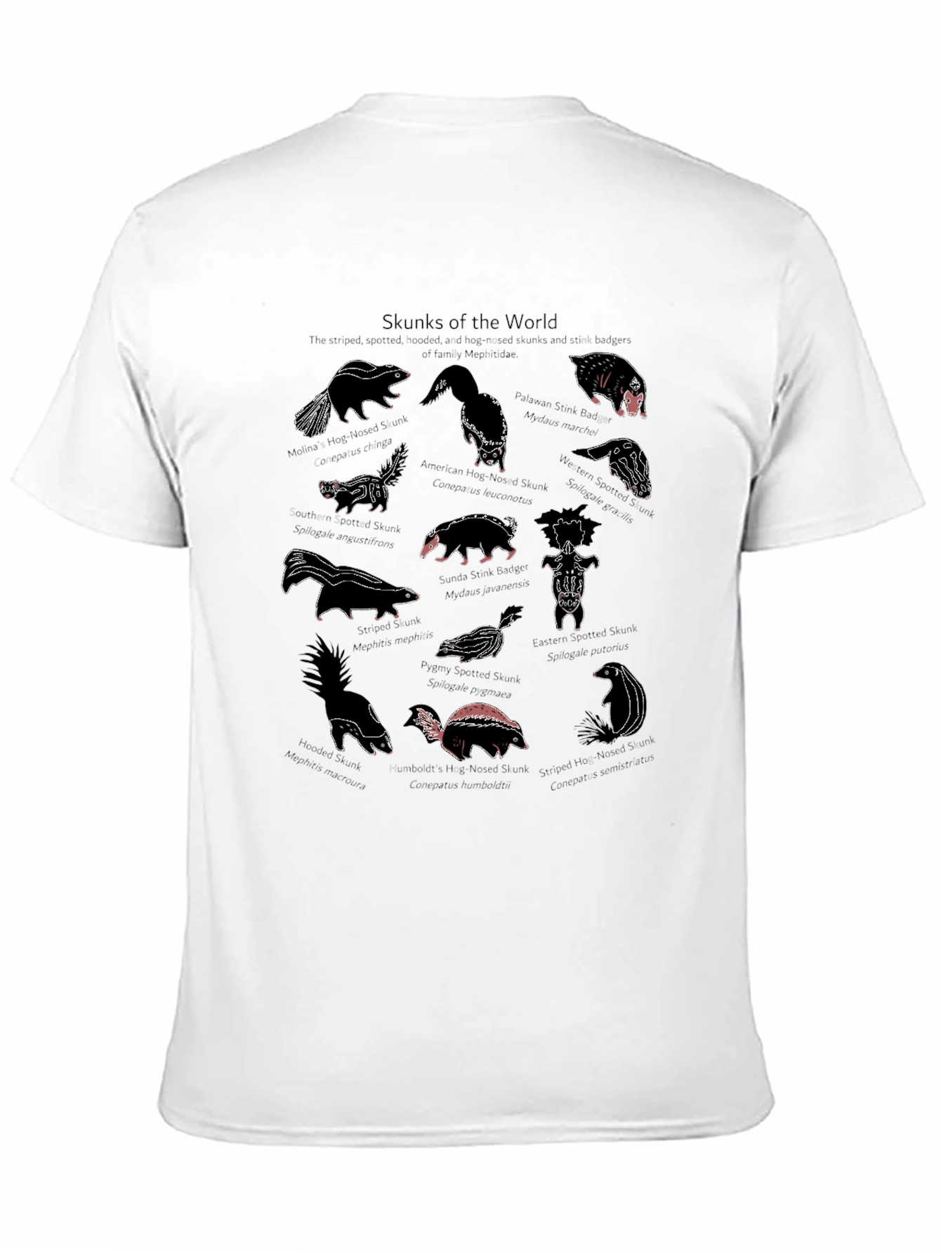 Skunks of the World Graphic T-Shirt