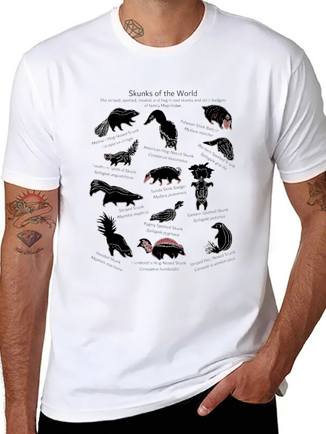 Skunks of the World Graphic T-Shirt