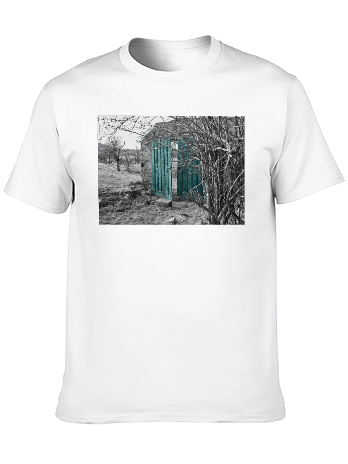 Rustic Doorway Graphic Tee