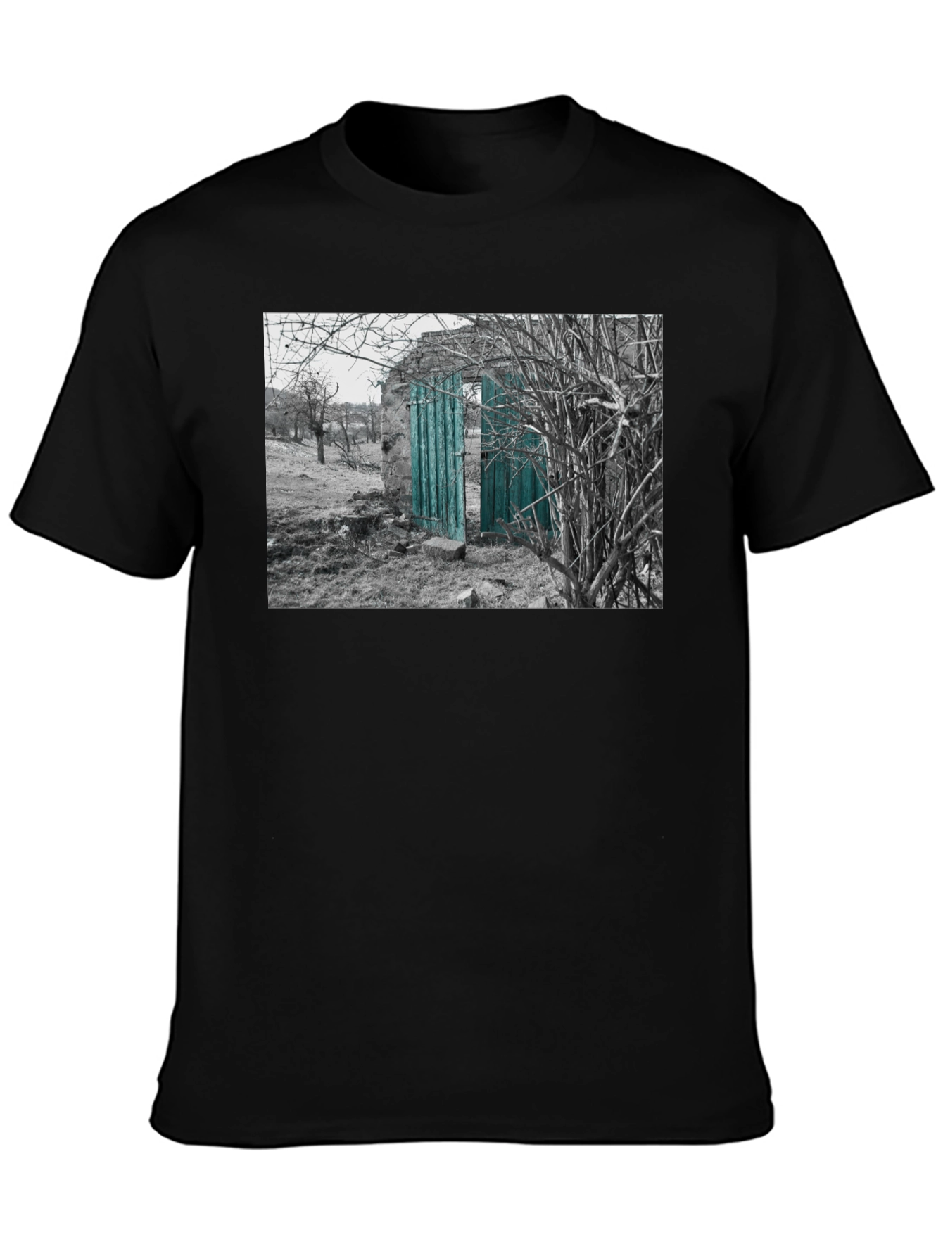 Rustic Doorway Graphic Tee