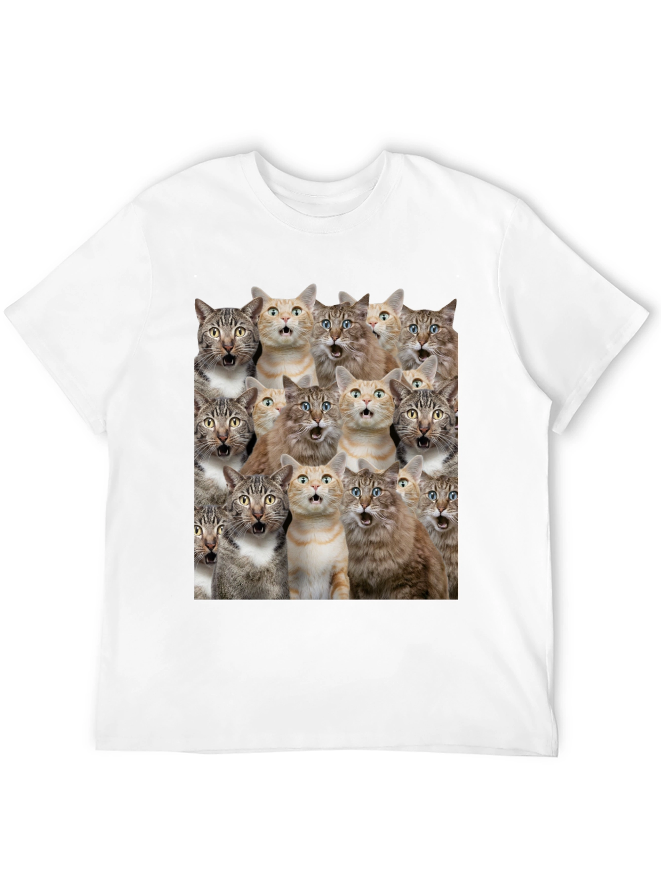 Surprised Cats Graphic Tee - Funny Mens T-Shirt