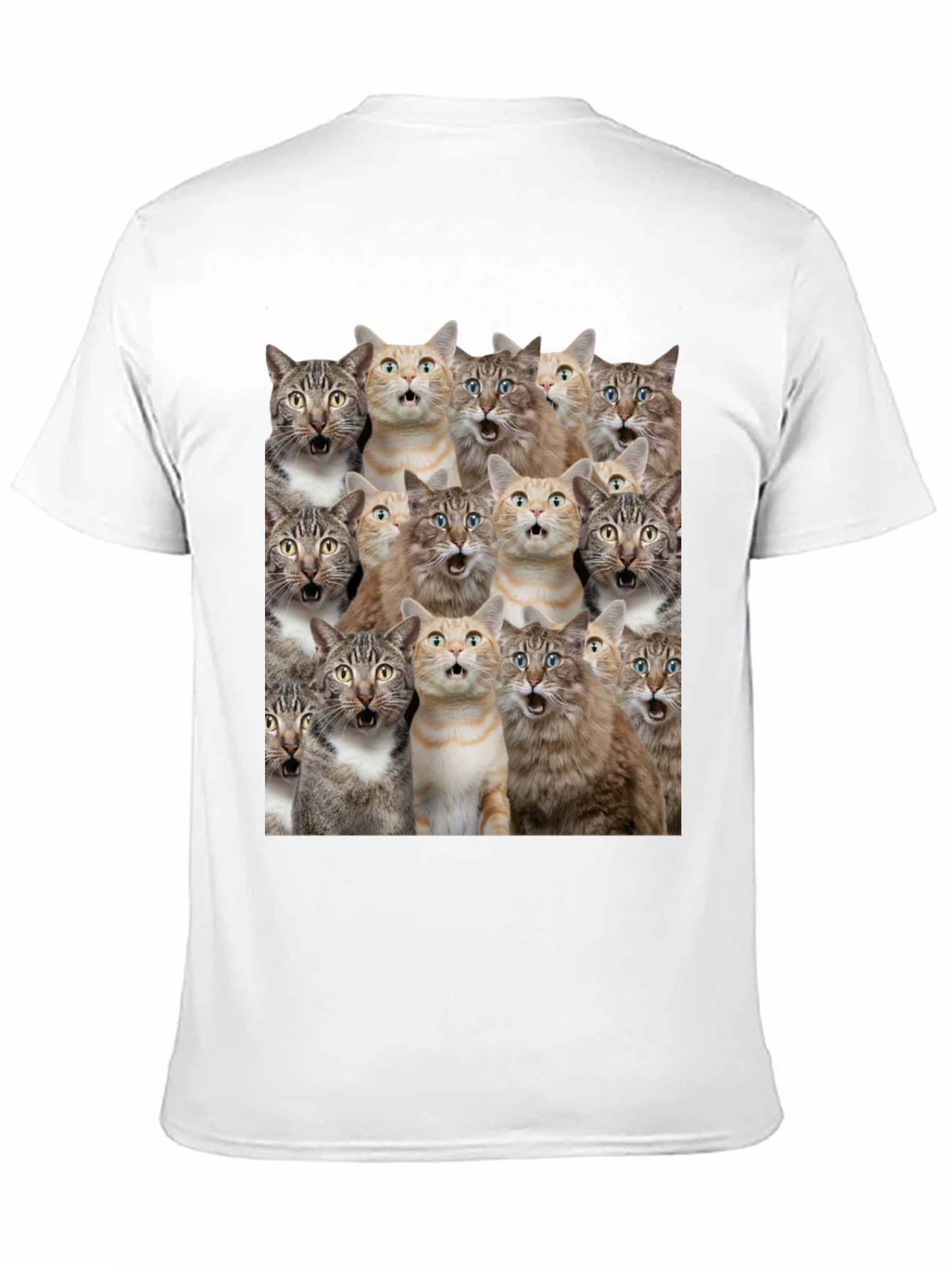 Surprised Cats Graphic Tee - Funny Mens T-Shirt