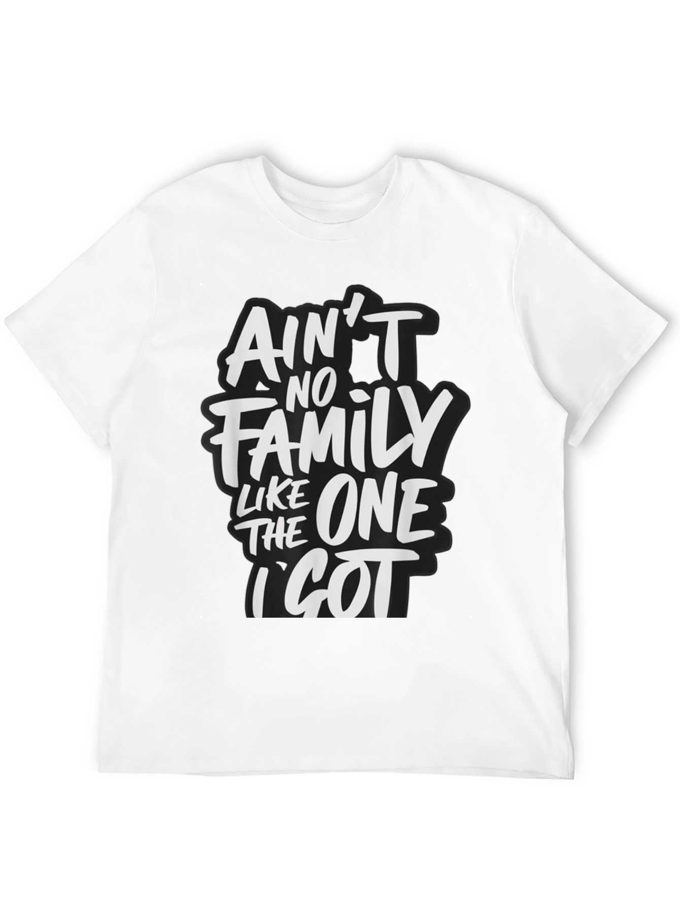 Aint No Family Like The One I Got T-Shirt