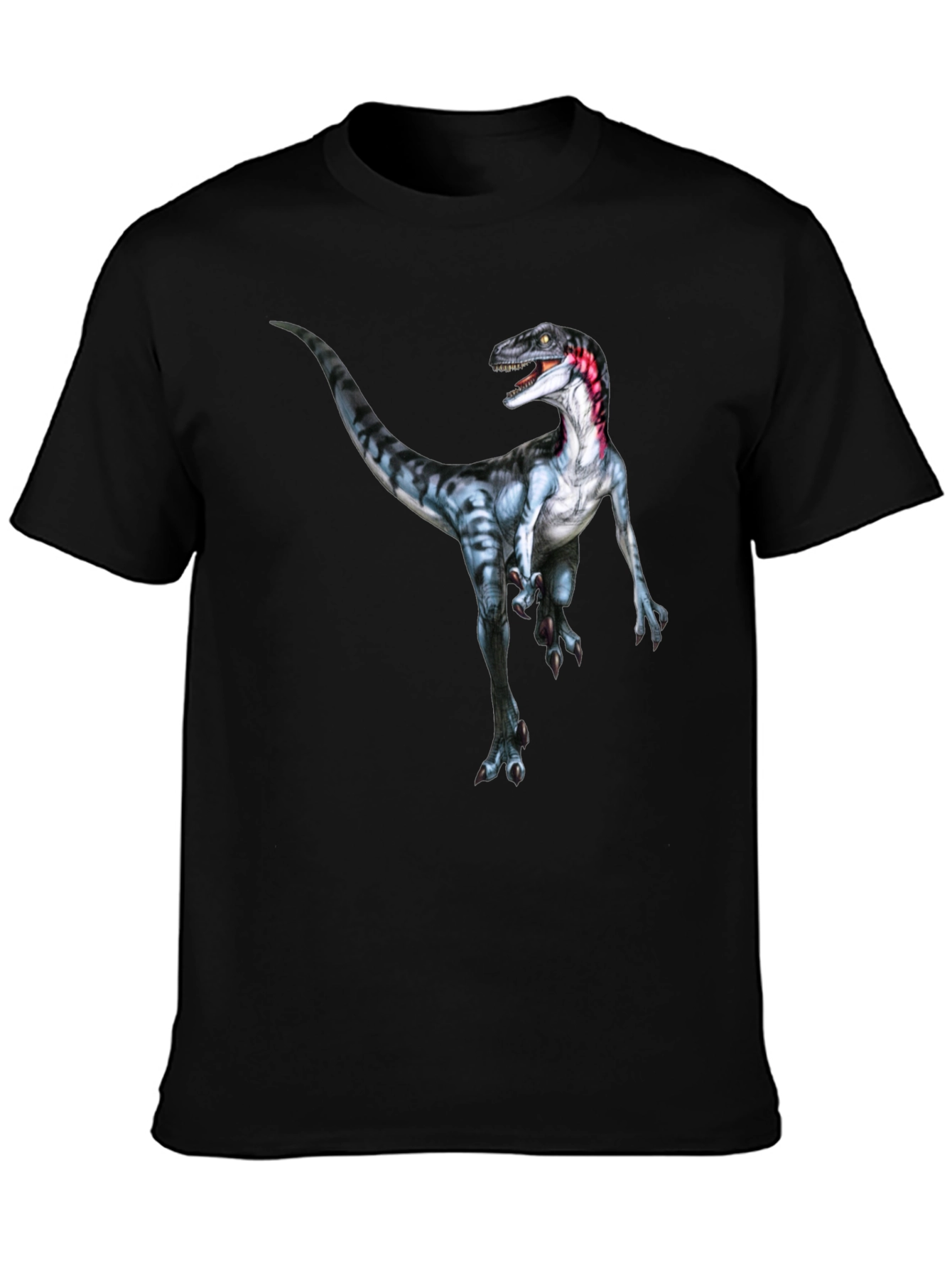 Dinosaur Graphic Print T-Shirt